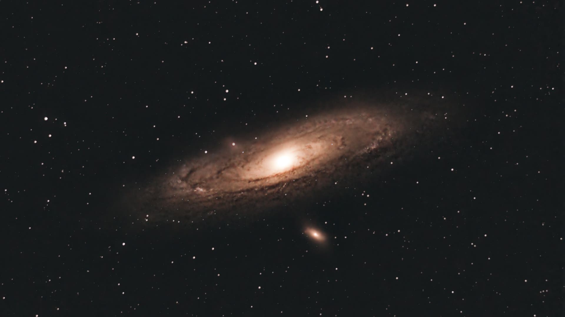 Andromeda Spektrum der Wissenschaft