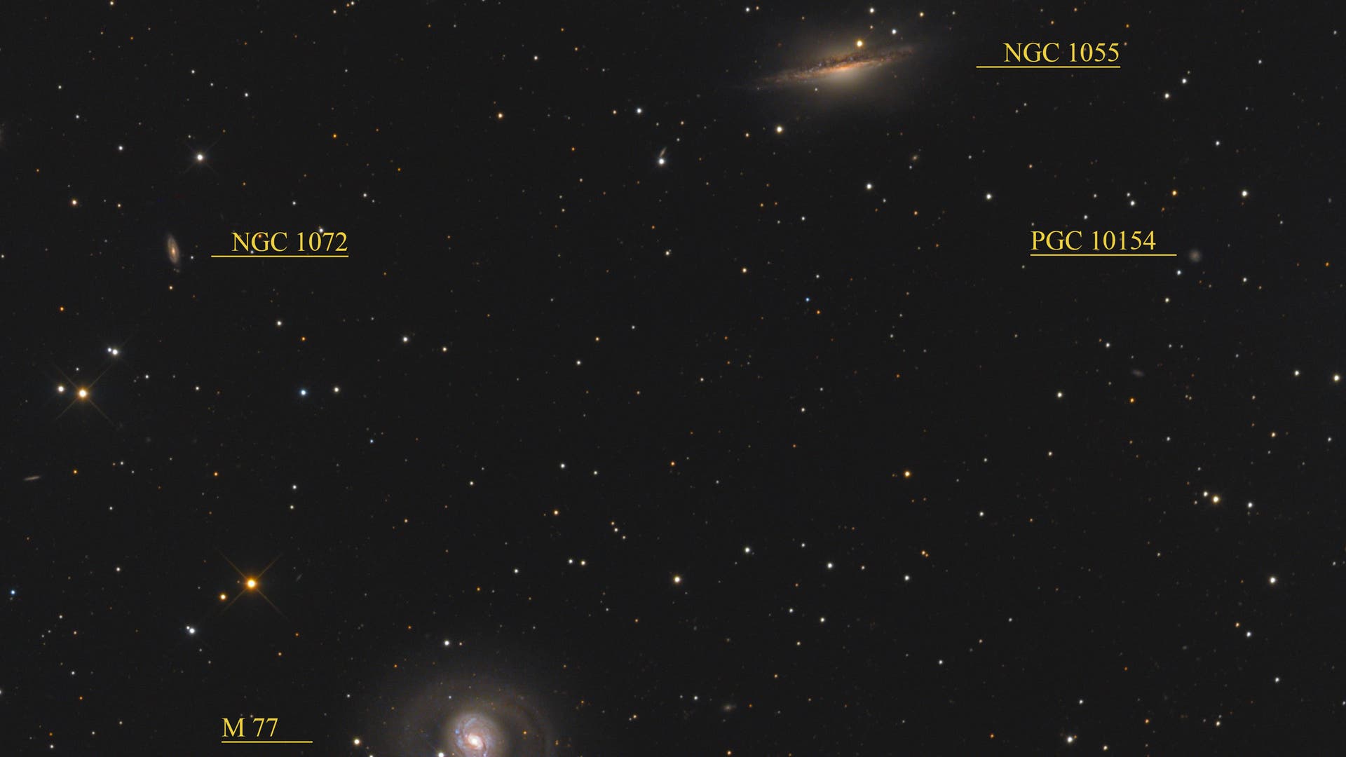 Messier 77 und NGC 1055 (Objekte) Spektrum der Wissenschaft