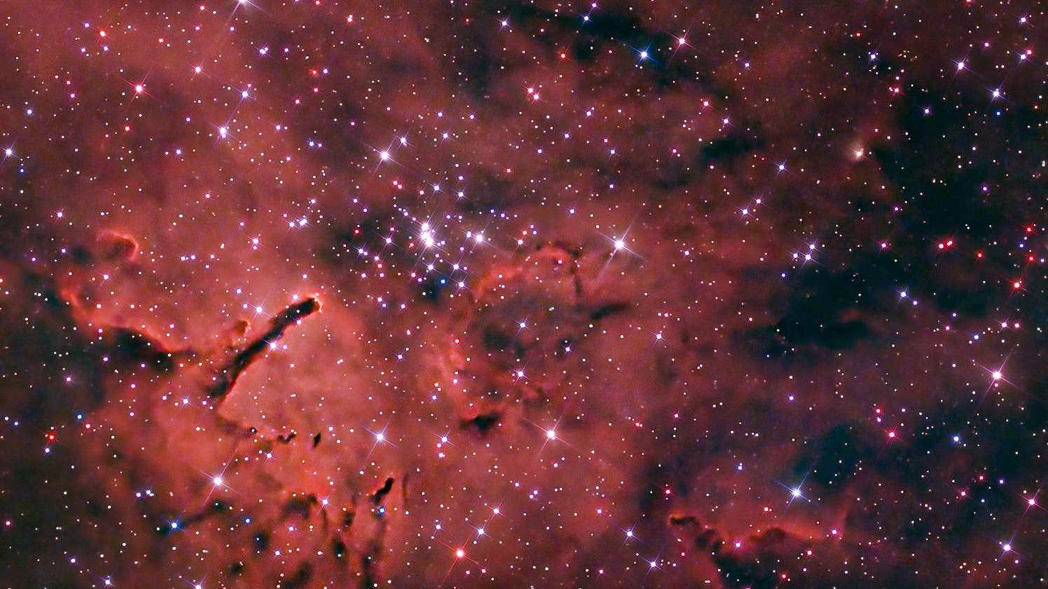 NGC 6820 Spektrum der Wissenschaft