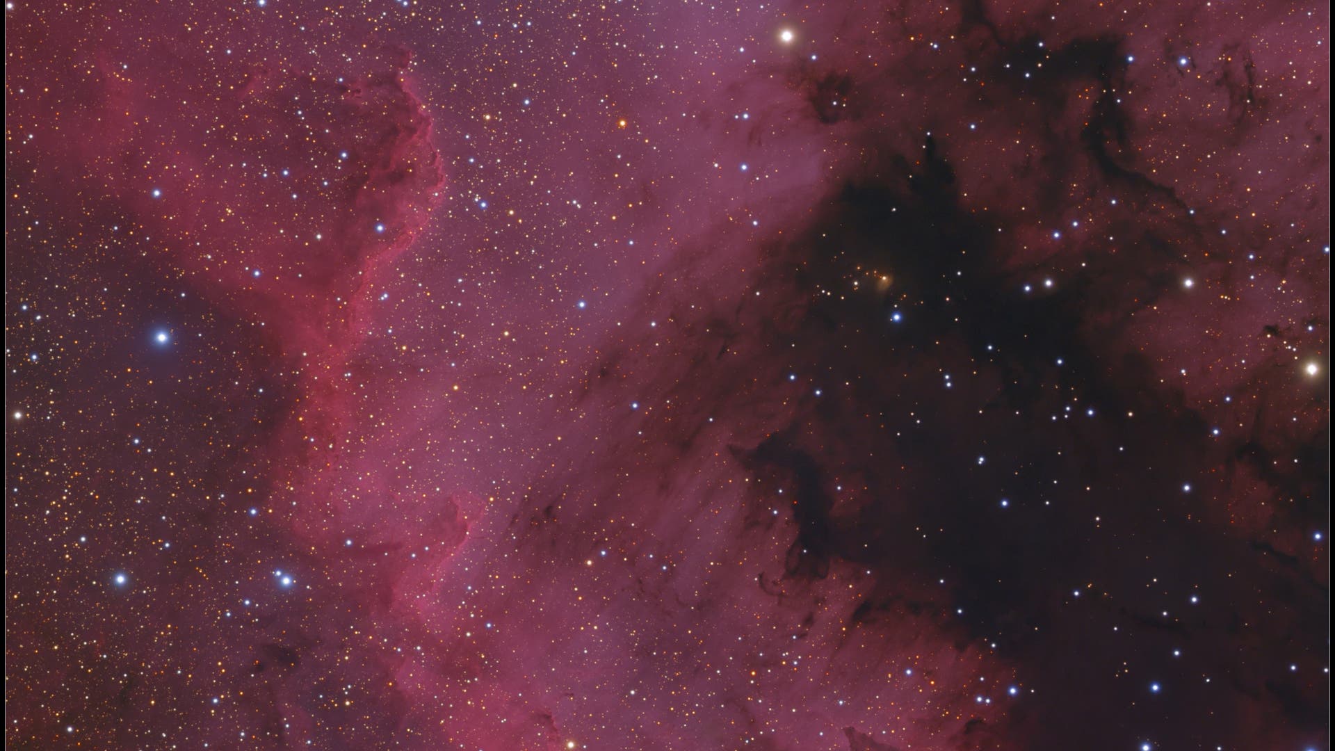 Die große Mauer in NGC 7000 Spektrum der Wissenschaft