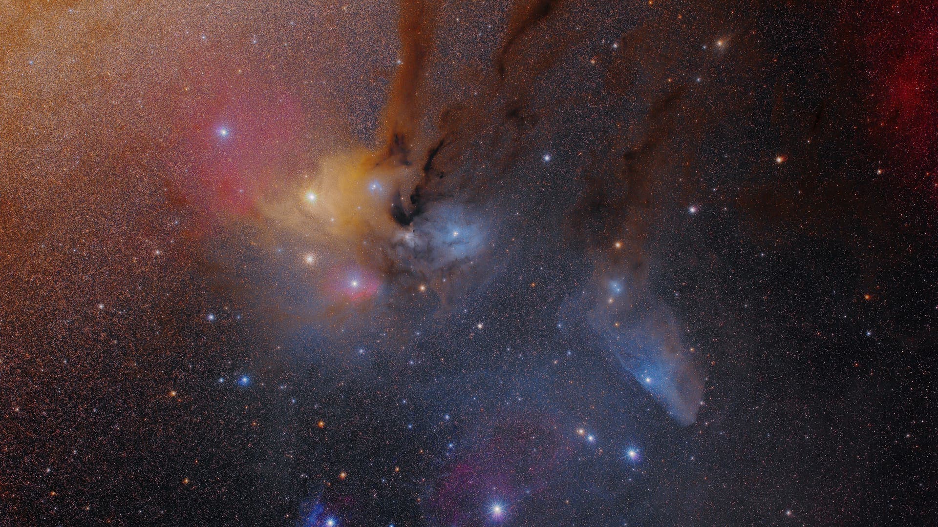 Der RhoOphiuchiKomplex Spektrum der Wissenschaft