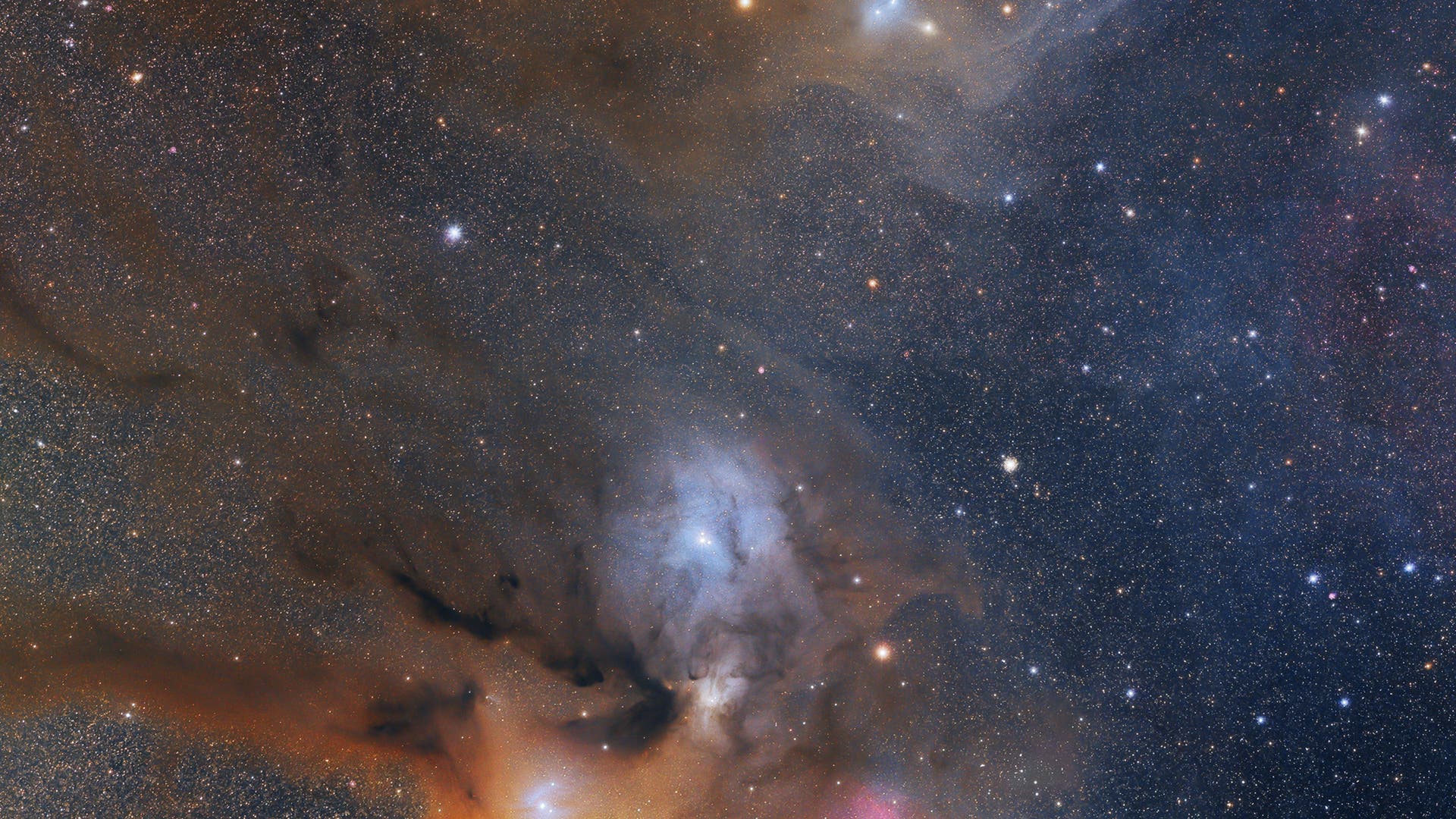 Der RhoOphiuchiKomplex und der blaue Pferdekopf Spektrum der