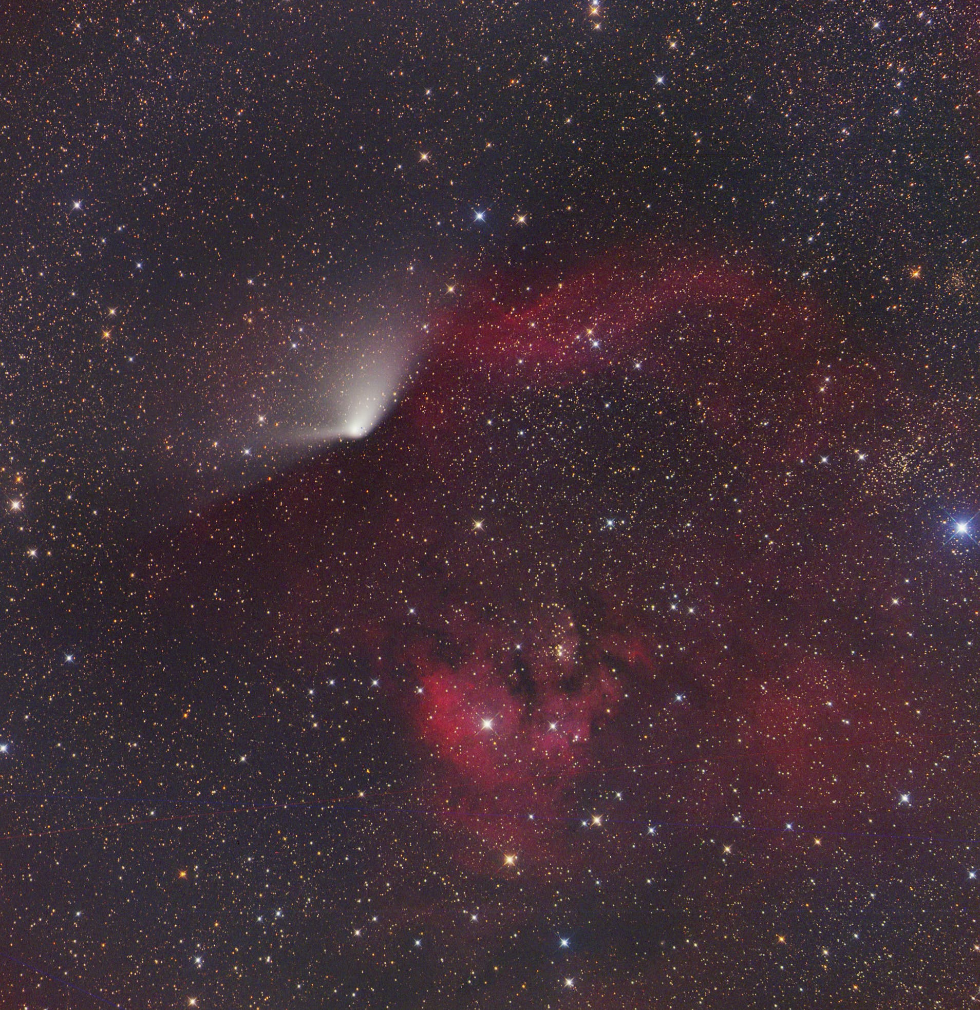Komet C/2011 L4 (PANSTARRS) und NGC 7822/Ced 214