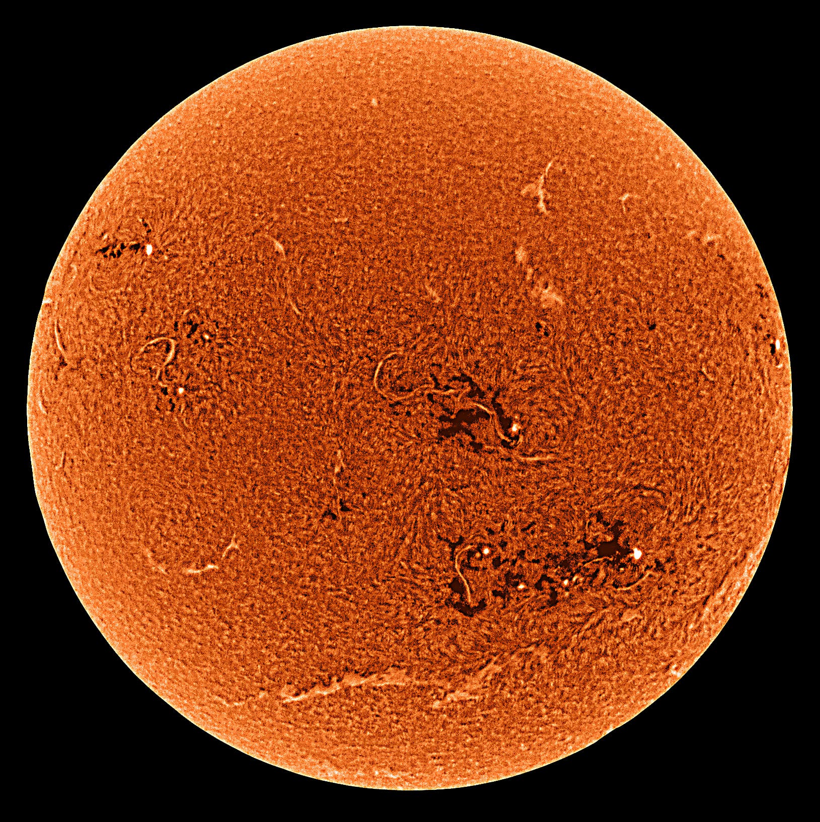 Sonne, am 1. September in H-alpha (invertiert)