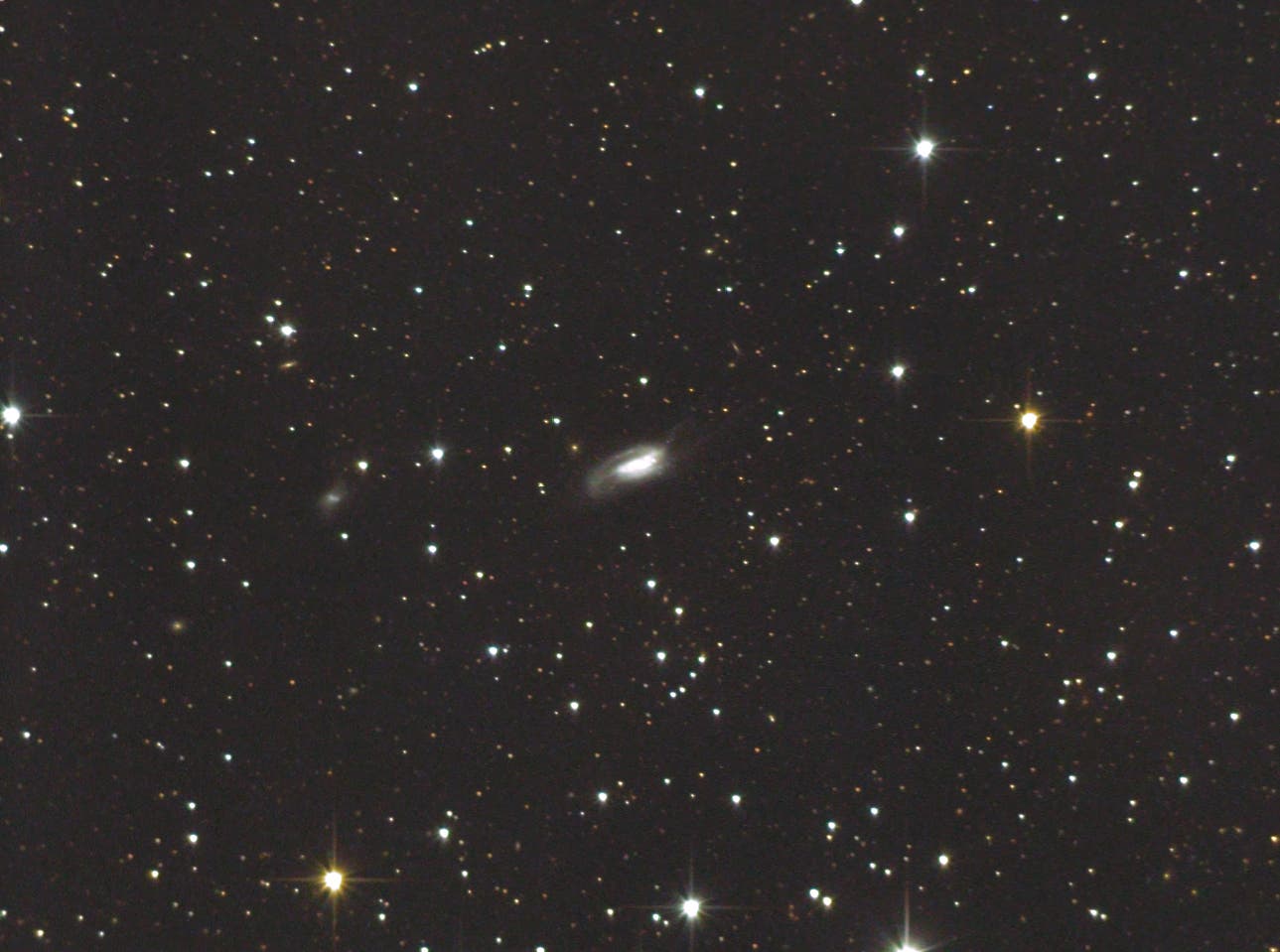 NGC 6239 (" Cockroach Galaxy", La Cucaracha") pekuliäre Galaxie im Herkules (1)             