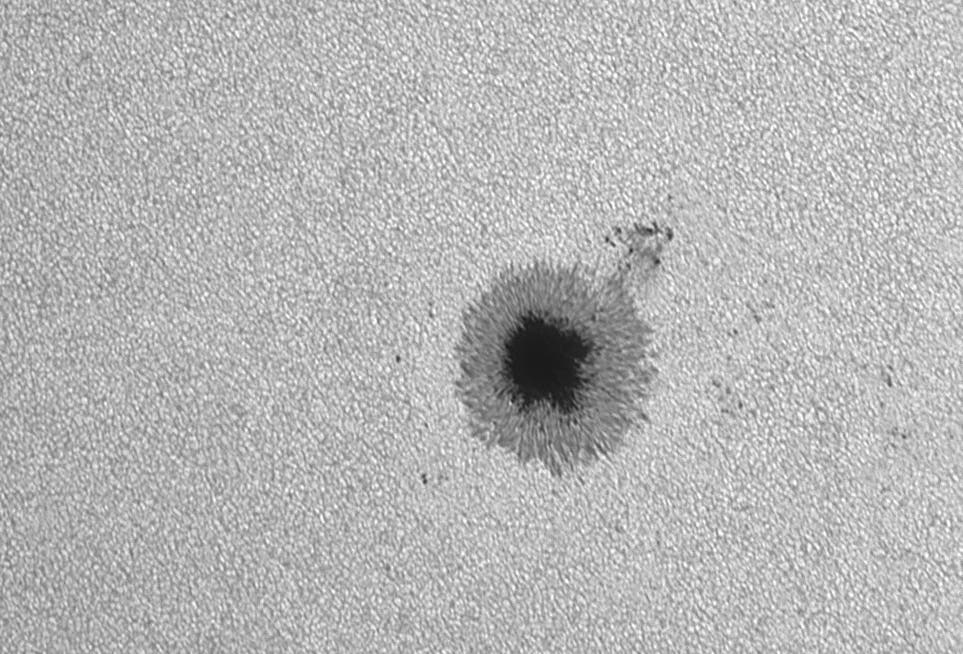 Sonnenfleck NOAA 12546 mit 2000 mm Brennweite