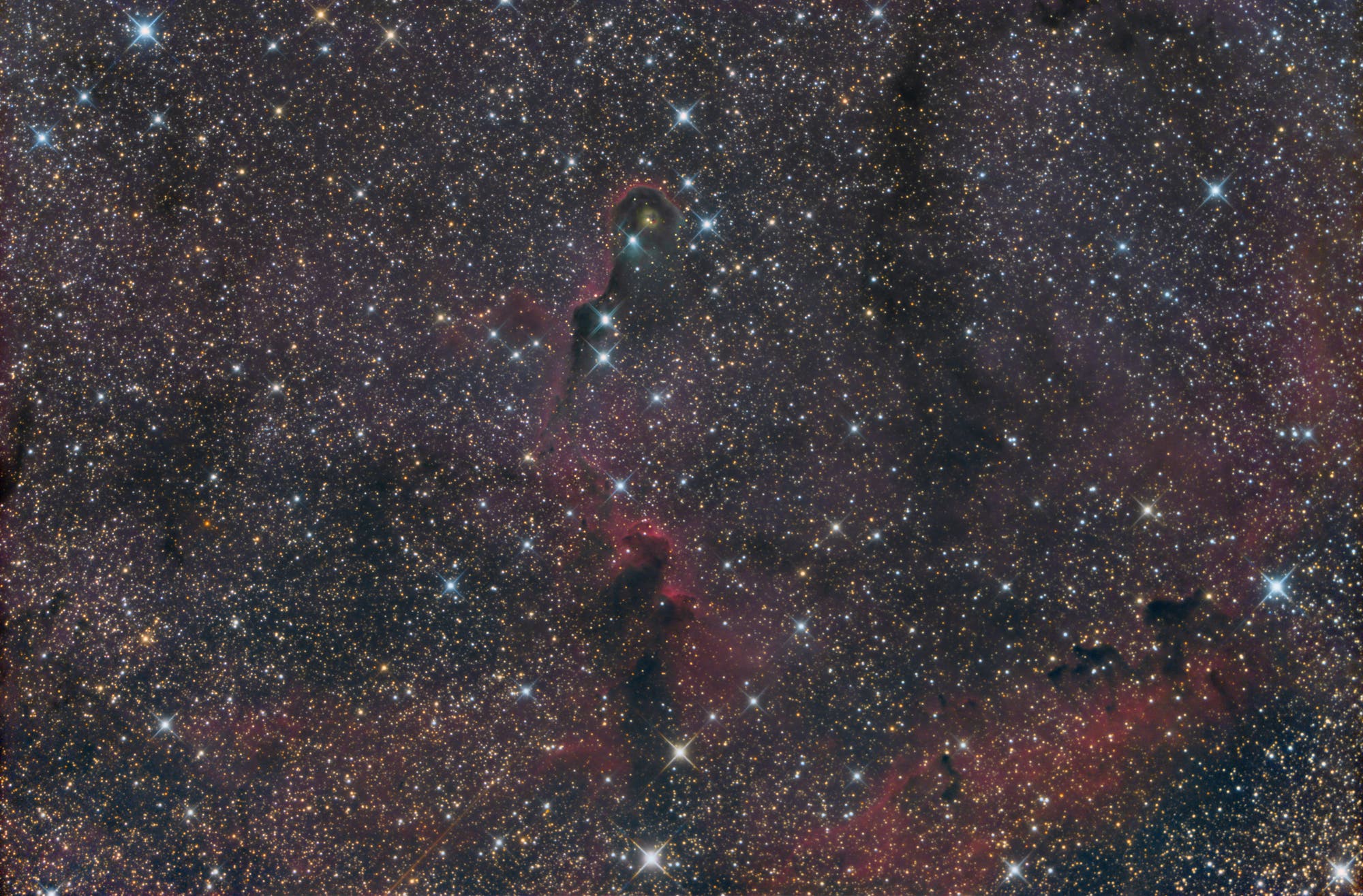 IC 1396, der Elefantenrüssel-Nebel