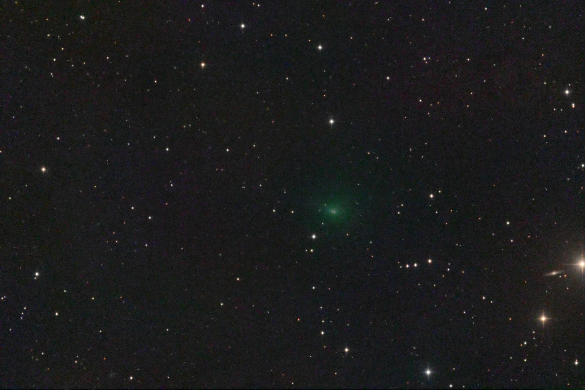 Comet 141P/Machholz