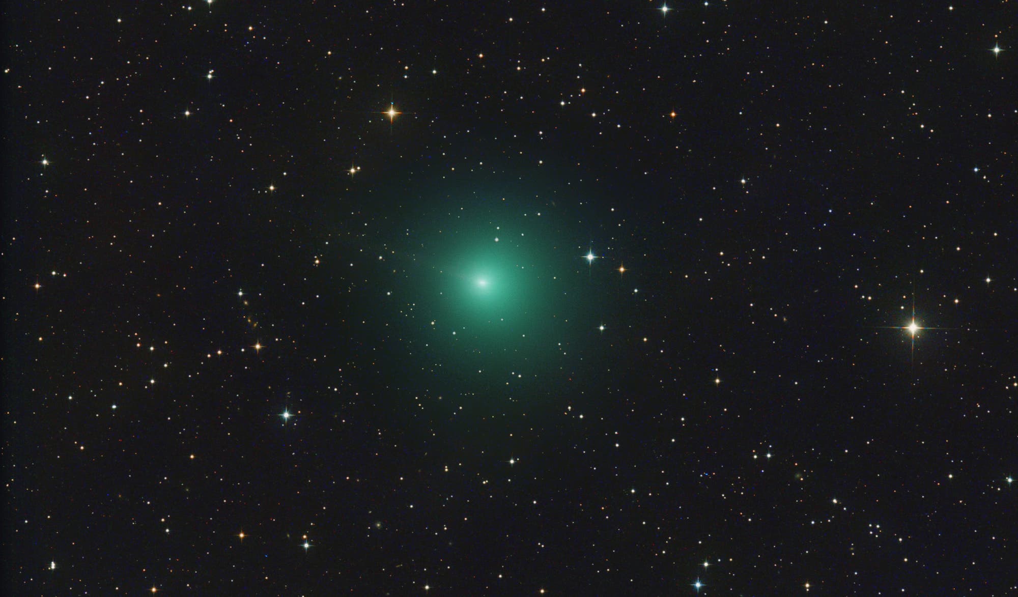 Komet 144P/Kushida