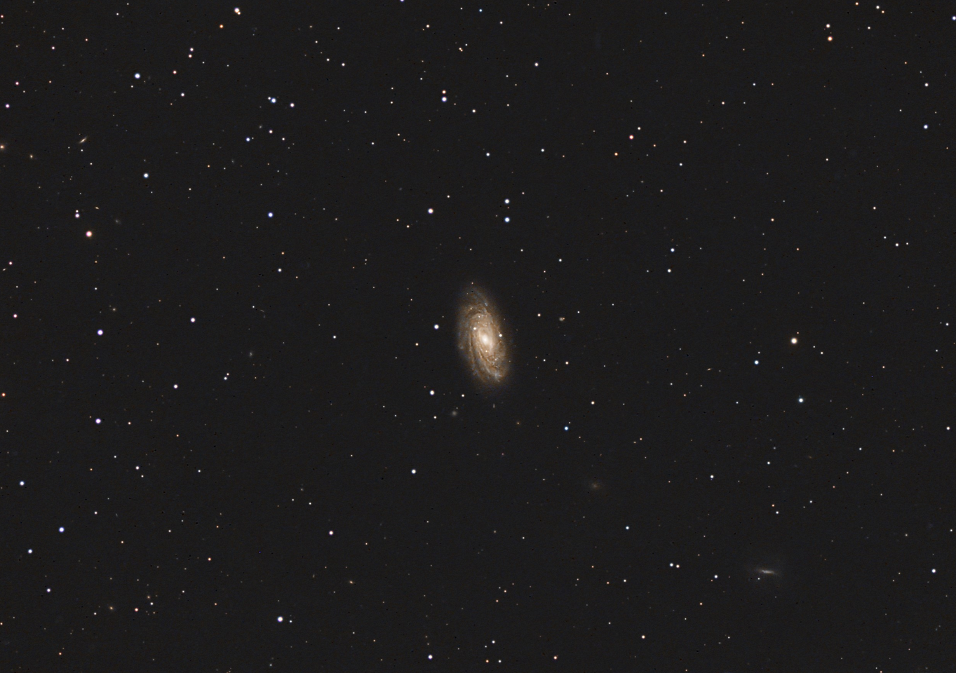 NGC 3953 im Großen Bären (Ursa Major)