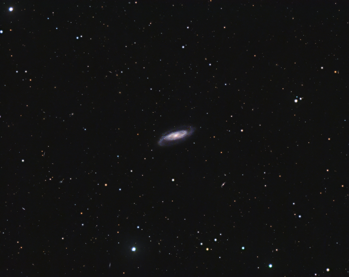 NGC 5448 im Großen Bären 