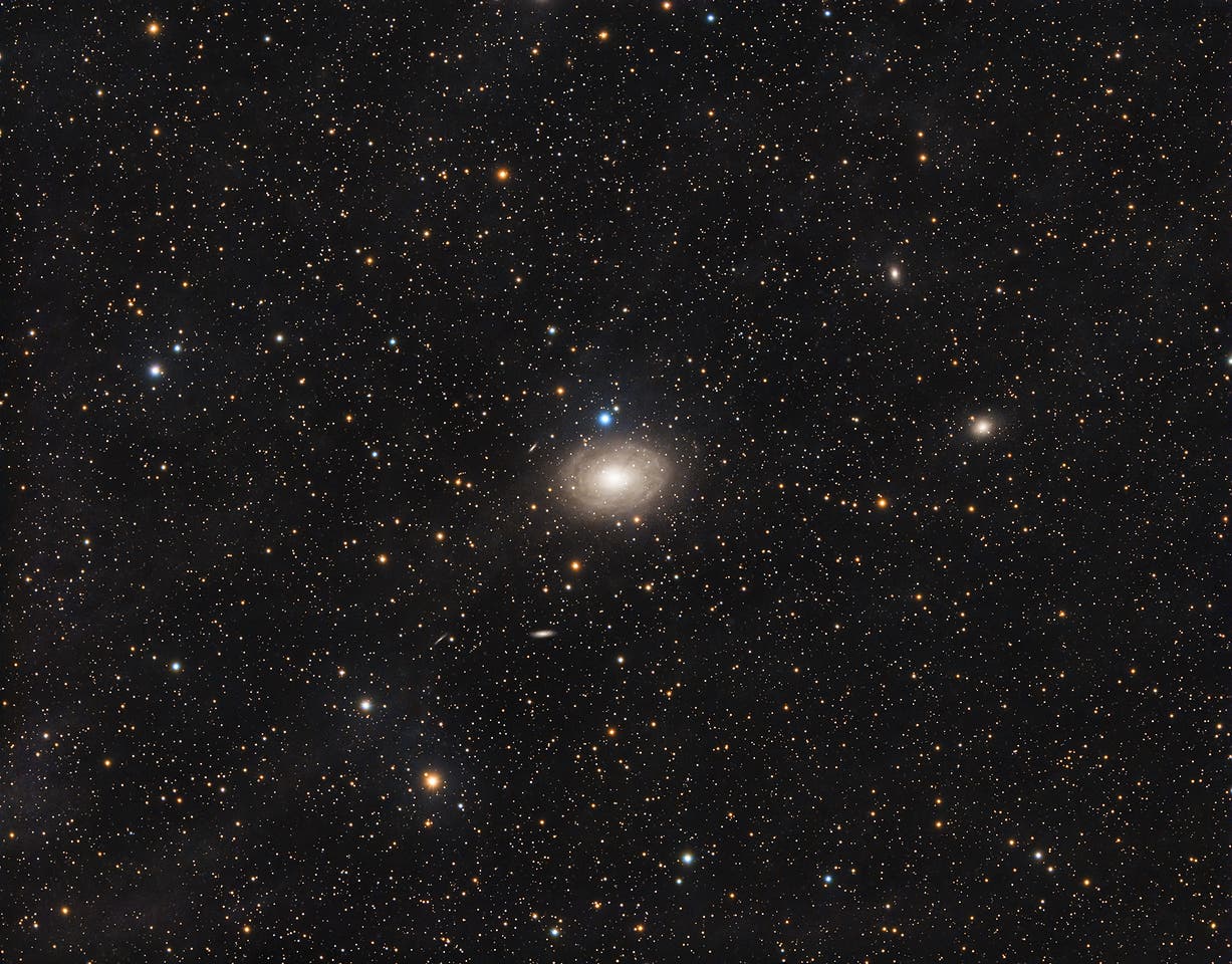 IC 356 in der Giraffe