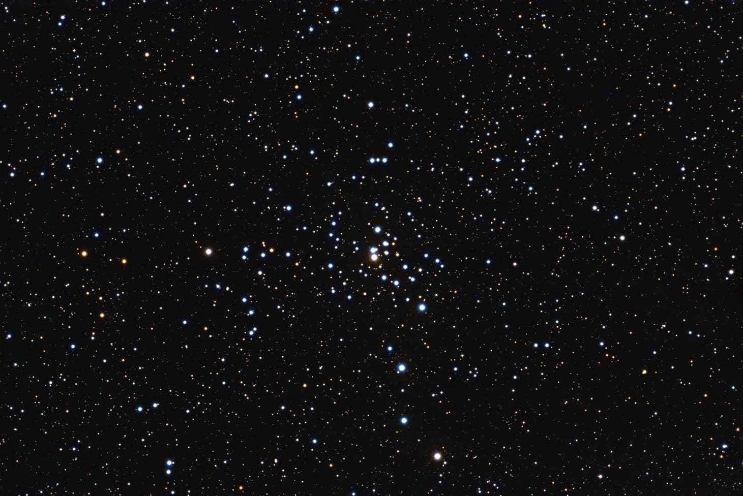 NGC 2301 im Einhorn