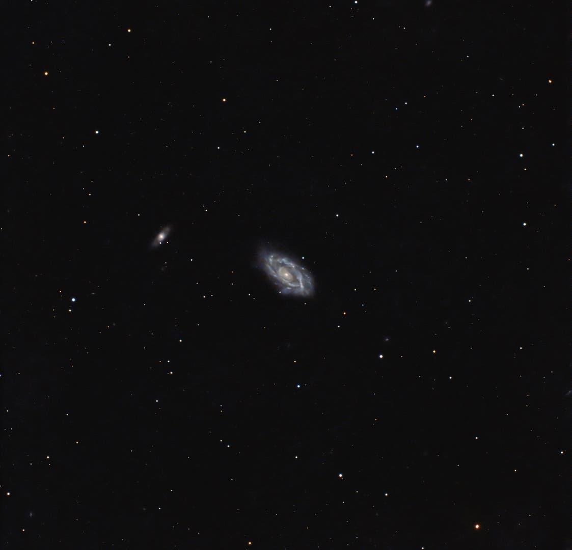 NGC 3646 im Löwen