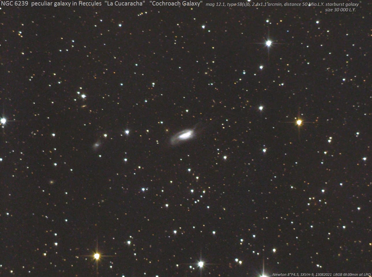 NGC 6239 ("Cockroach Galaxy, "La Cucaracha") (2)