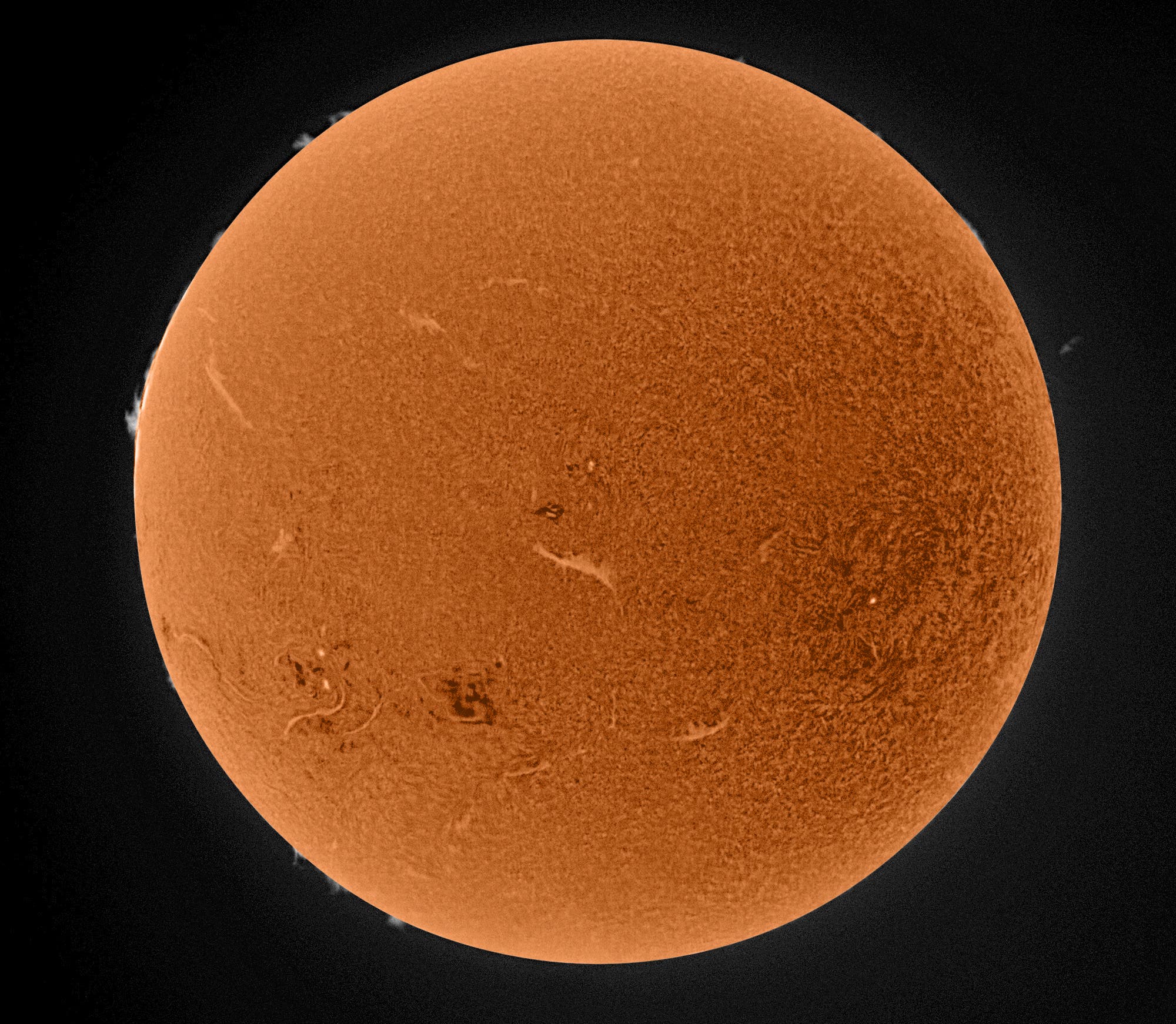 Sonne, am 20. Oktober 2025 in H-alpha (invertiert)