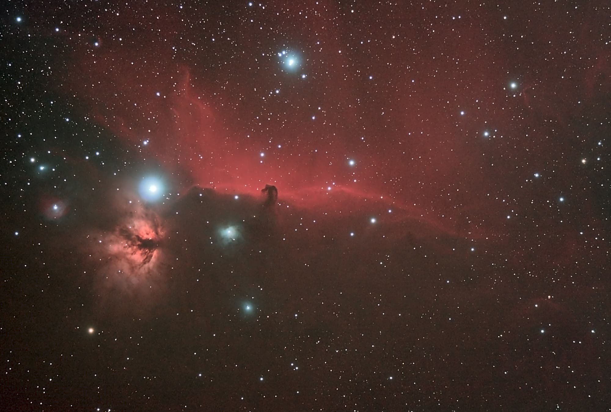Pferdekopfnebel (B33) in IC 434 im Sternbild Orion