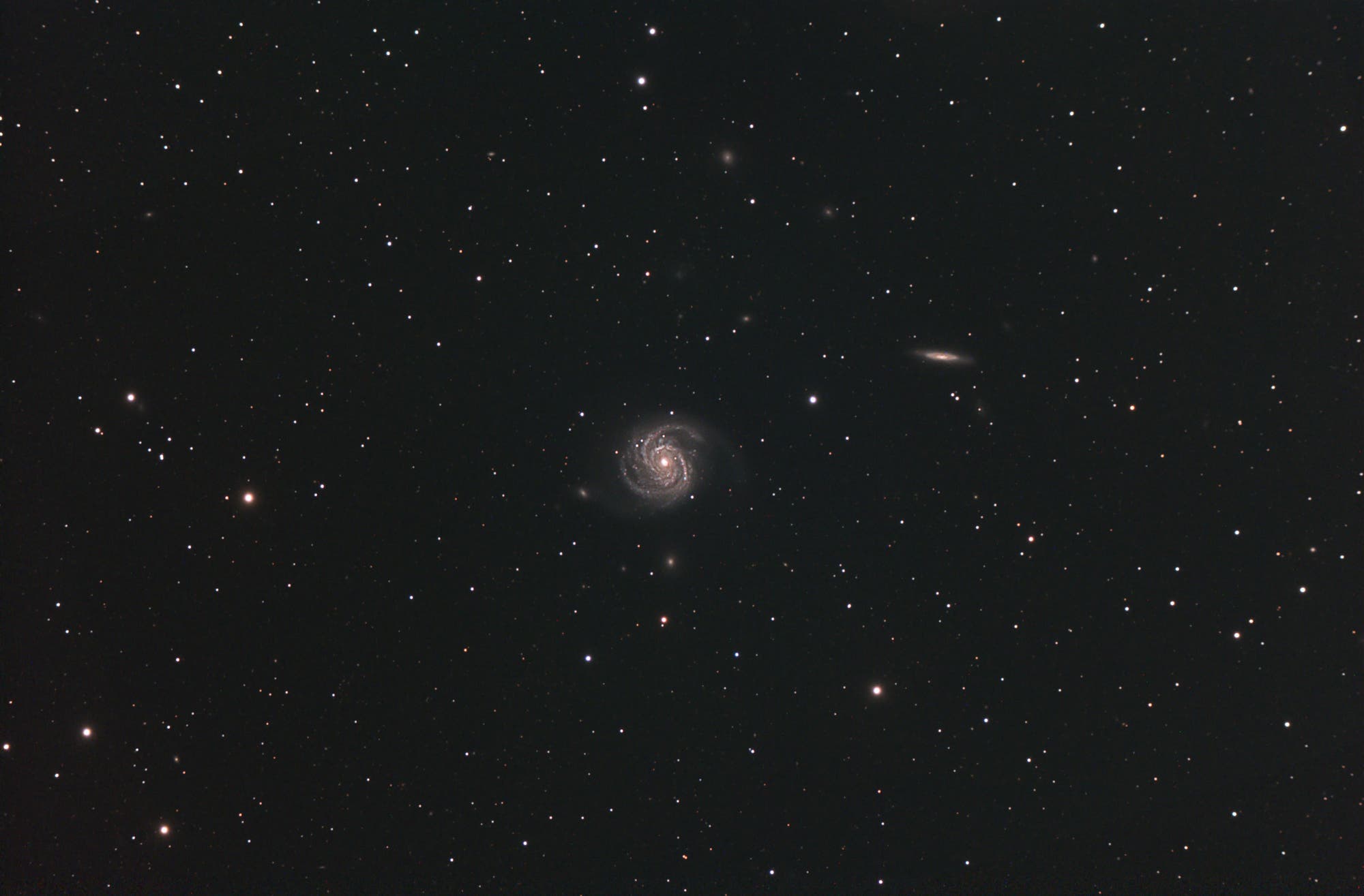Messier 100 im Feld