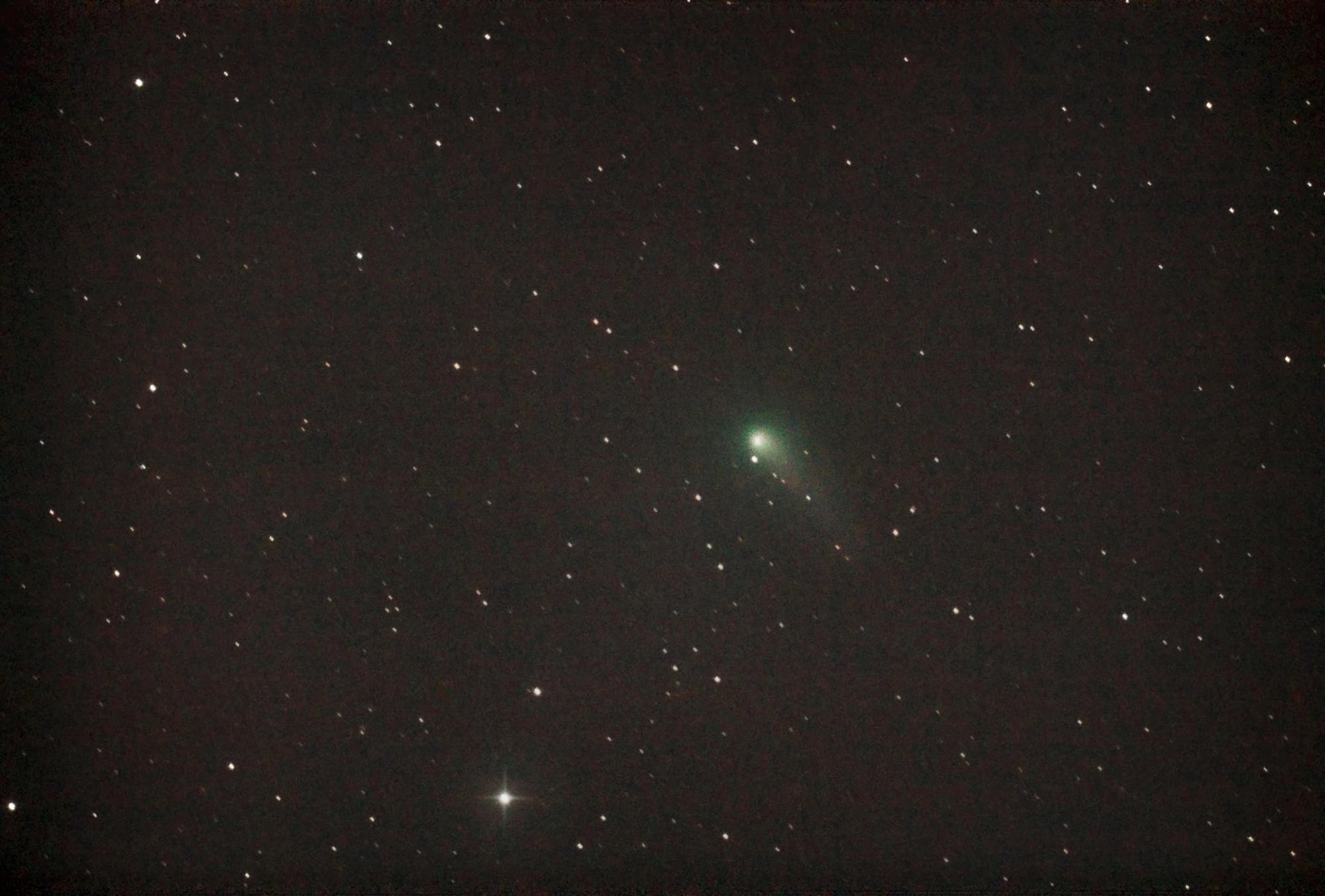 Komet C/2012 K1 (PANSTARRS) im Grenzberich Bärenhüter / Großer Bär