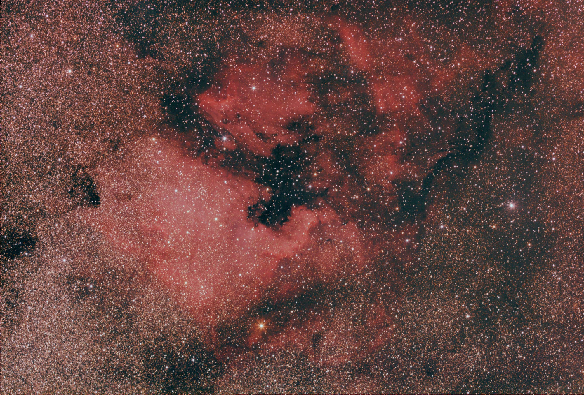 NGC 7000 unter lichtverschmutztem Himmel