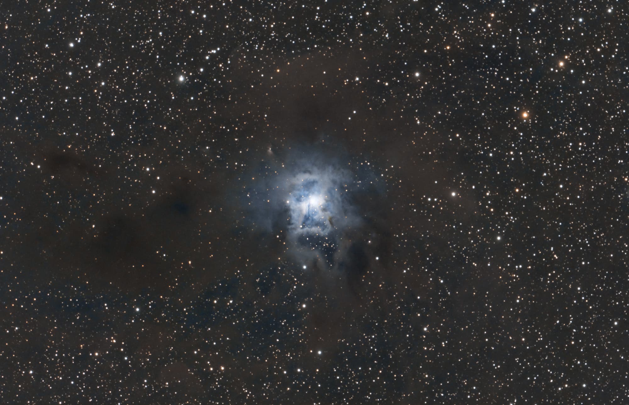 Irisnebel (NGC7023)