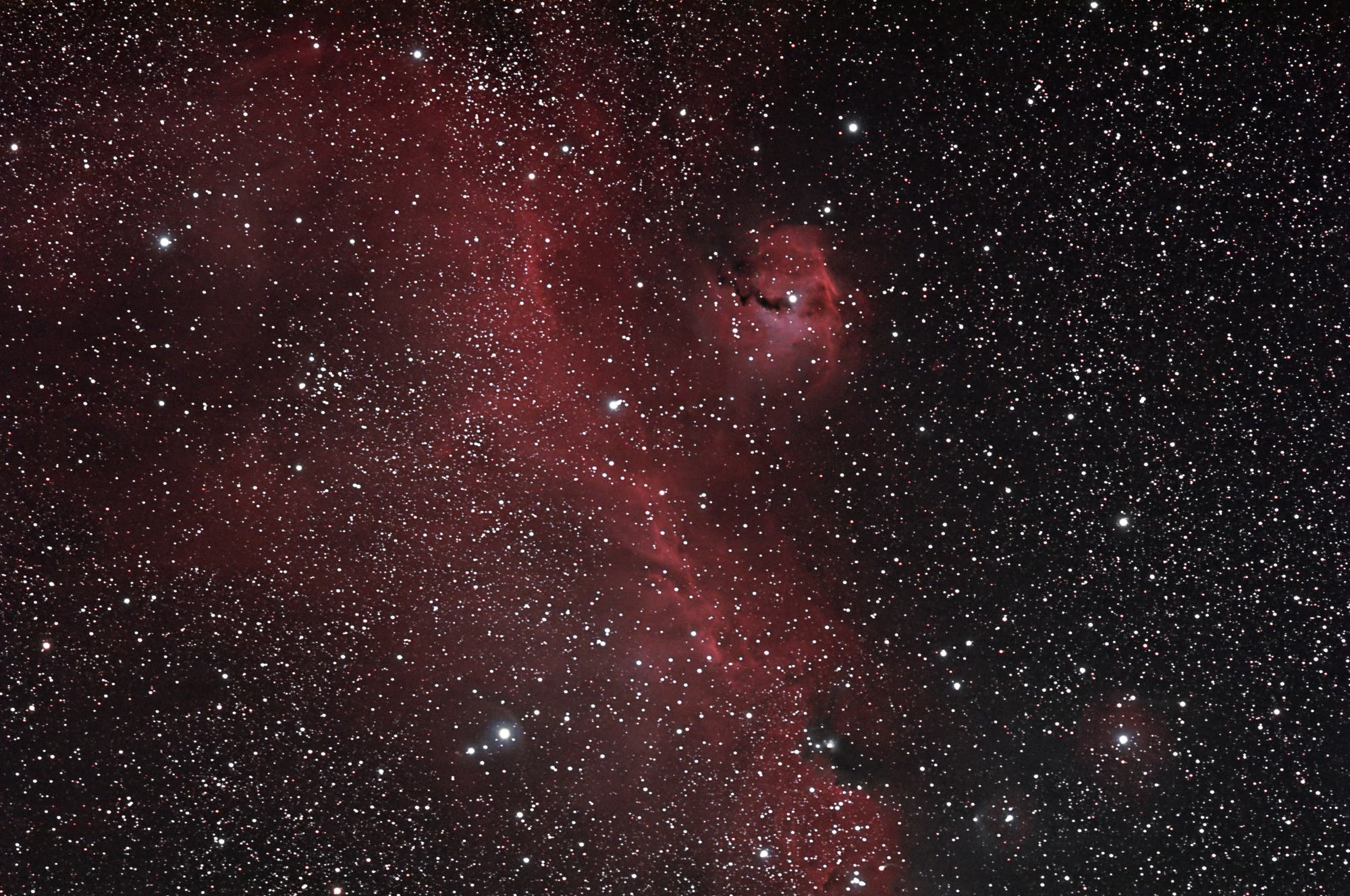 IC 2177 mit NGC 2327 - Möwennebel