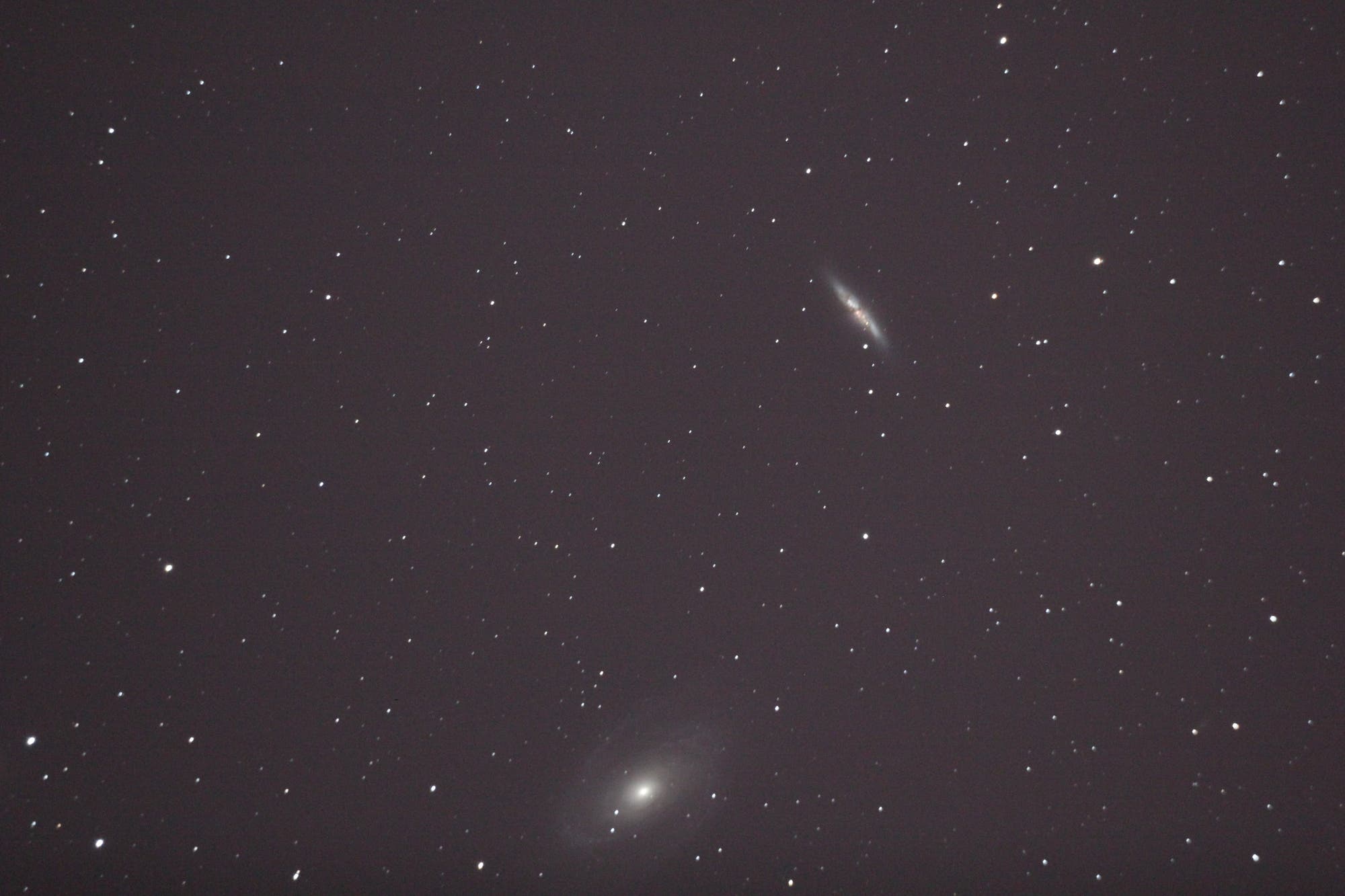 M 82 mit Supernova und M 81