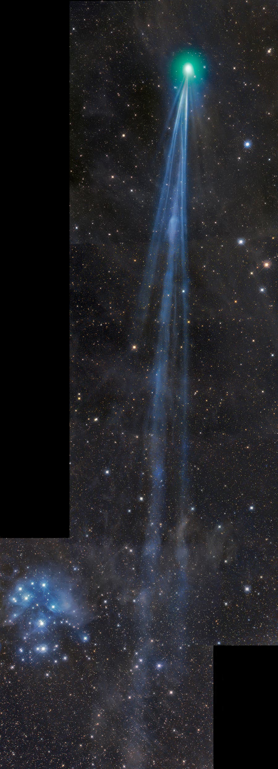 Komet C/2014 Q2 Lovejoy bei Messier 45