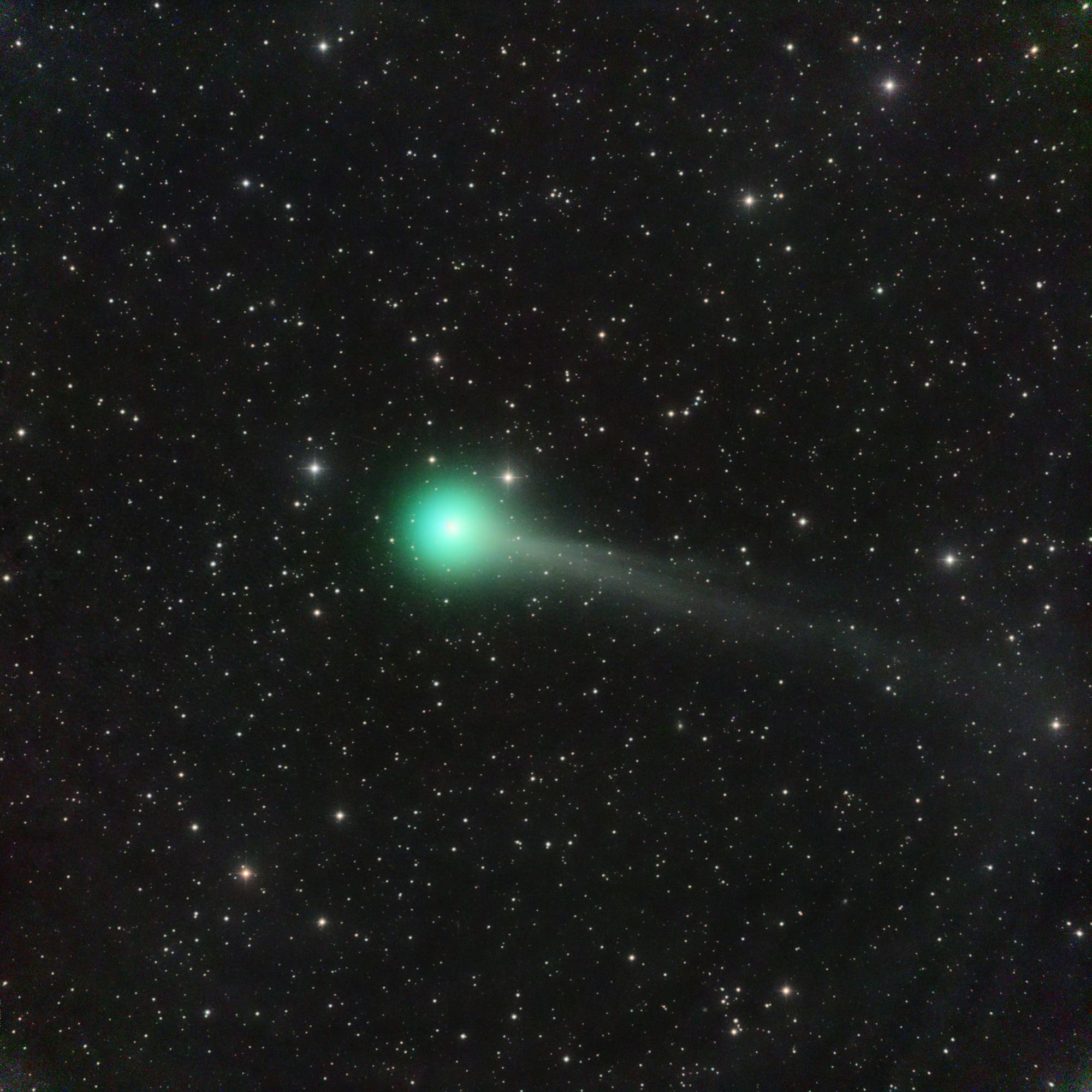 Comet C/2015 ER61 (PANSTARRS) after outburst