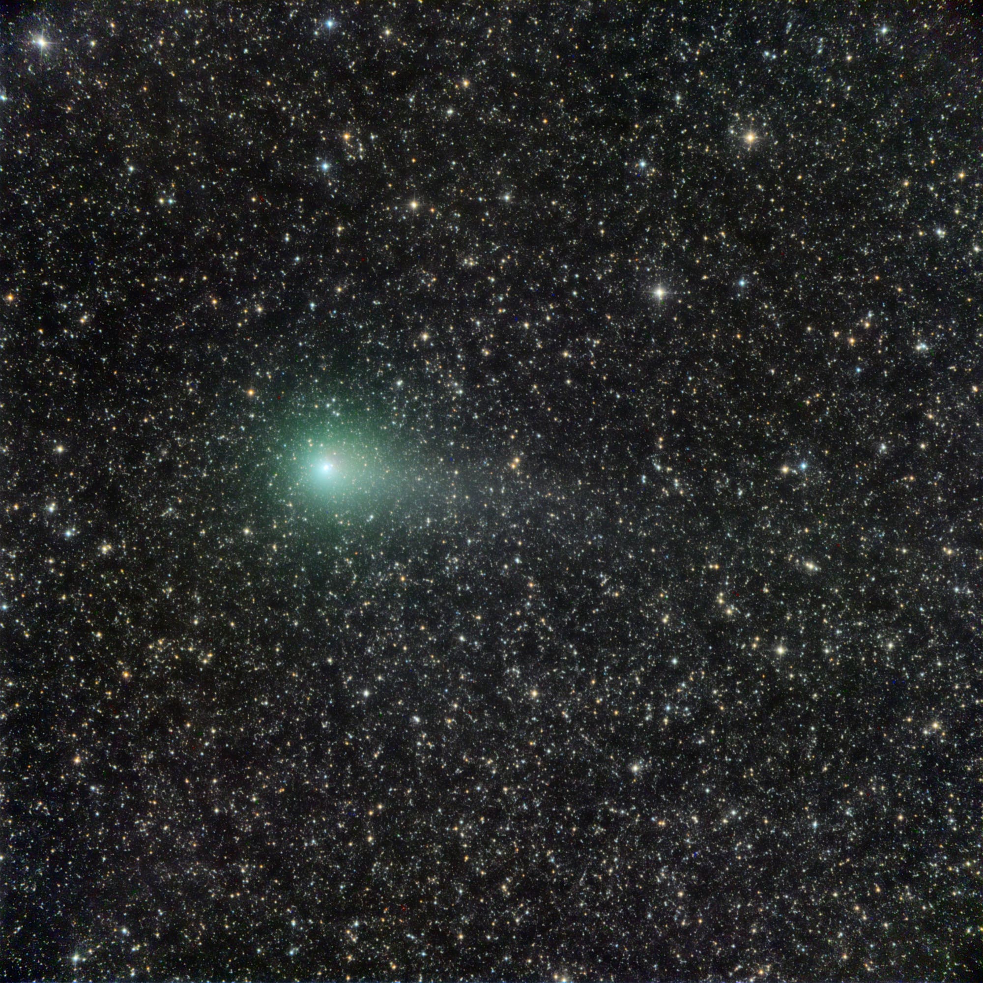 Comet C/2016 M1 PANSTARRS at maximum