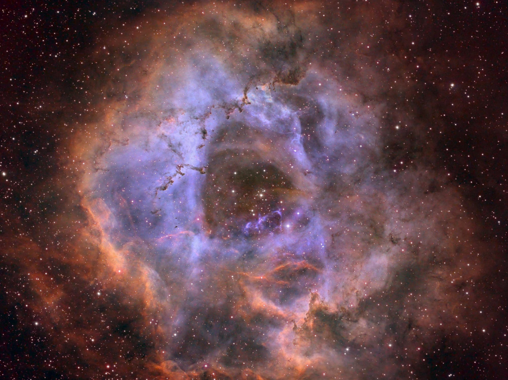 NGC2246 Rosetten Nebel