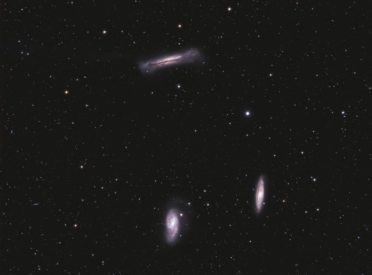 M65, M66 und NGC 3628 – Leo-Triplett 