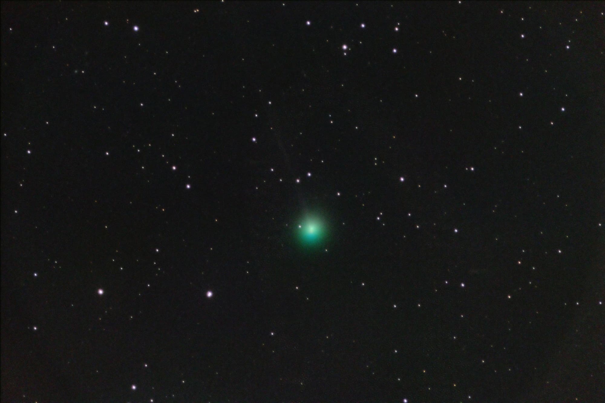 New comet C/2018 V1 Machholz-Fujikawa-Iwamoto
