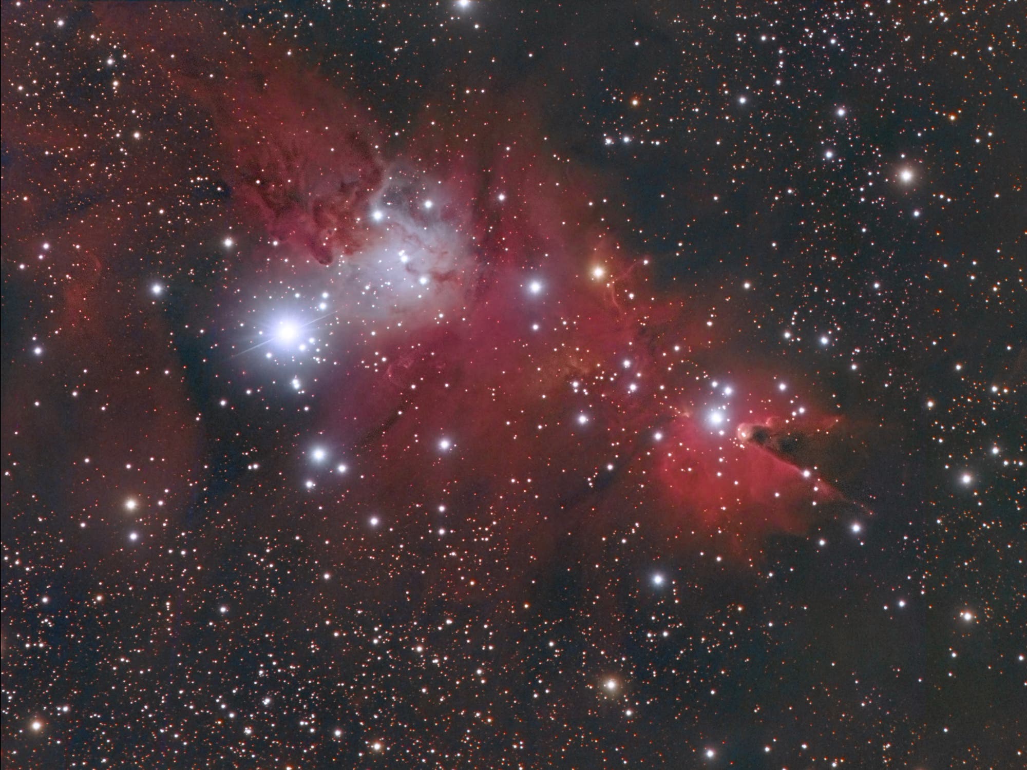 Christmas Tree Cluster (NGC 2264)