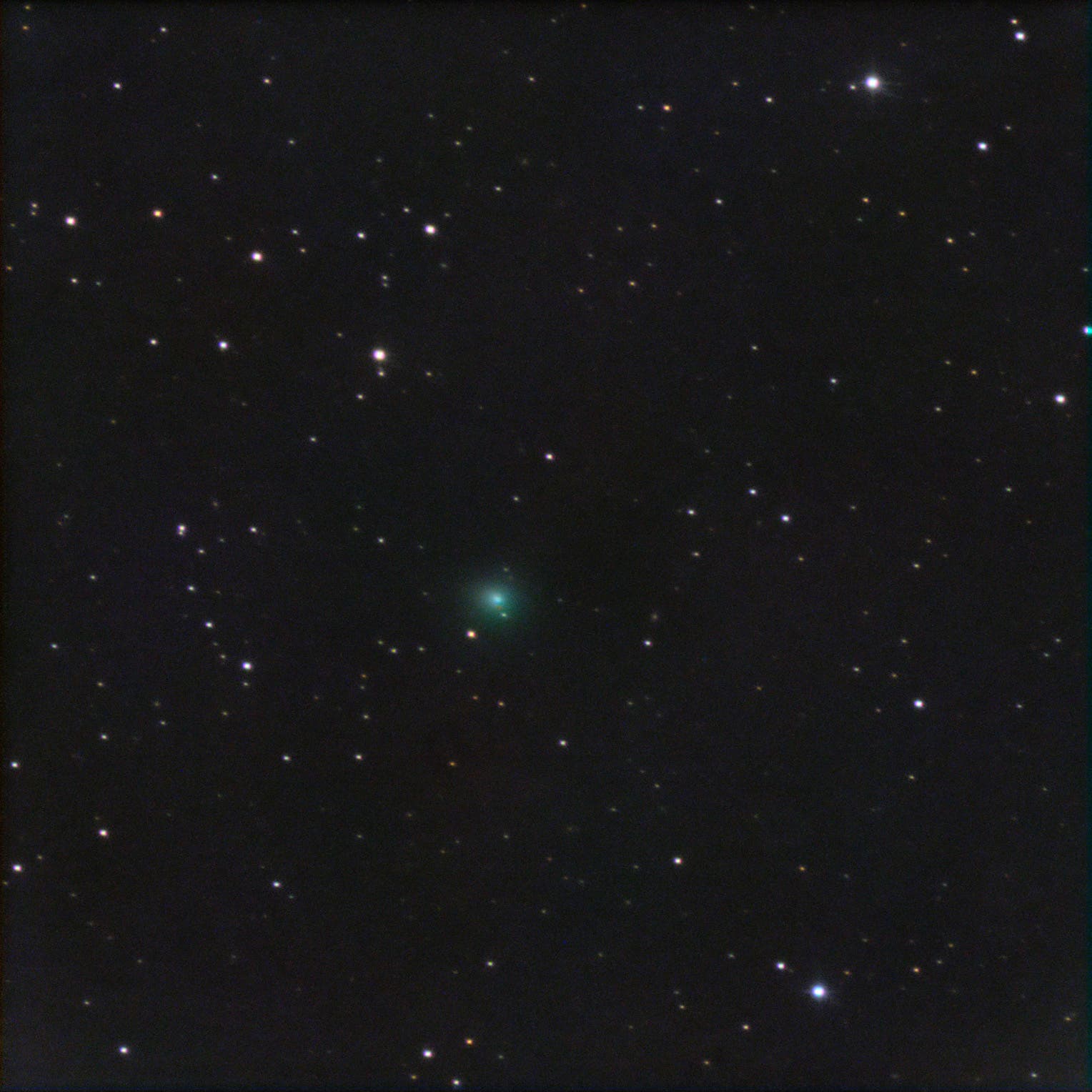 Comet C/2019 Y1 ATLAS