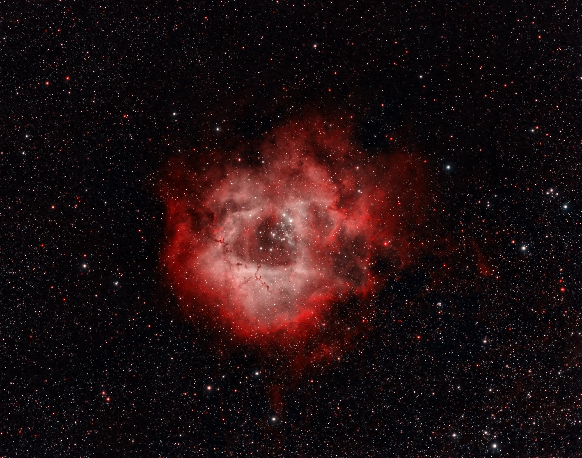 Der Rosettennebel mit dem Sternhaufen NGC 2244