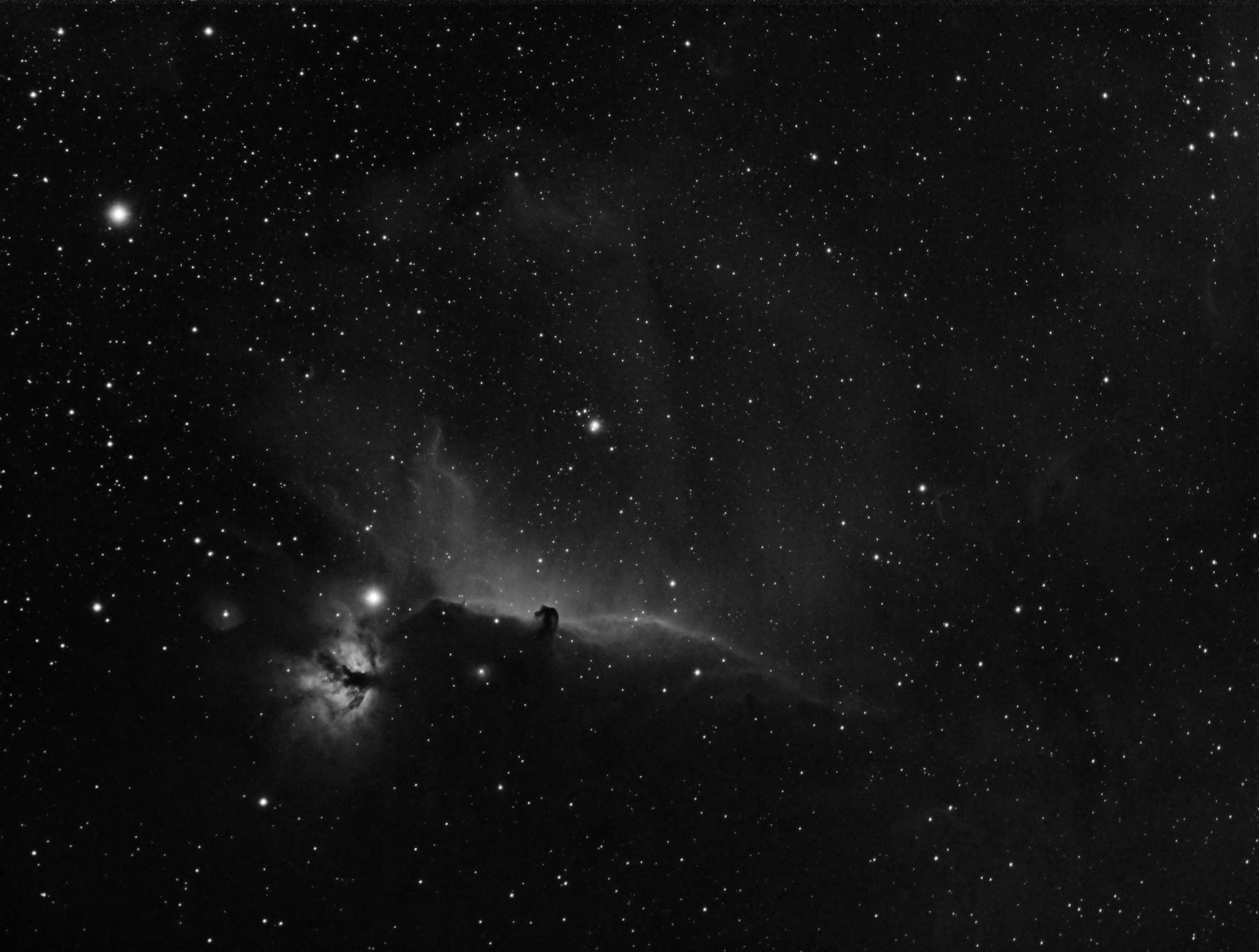 IC 434 Pferdekopnebel - Staub im Orion