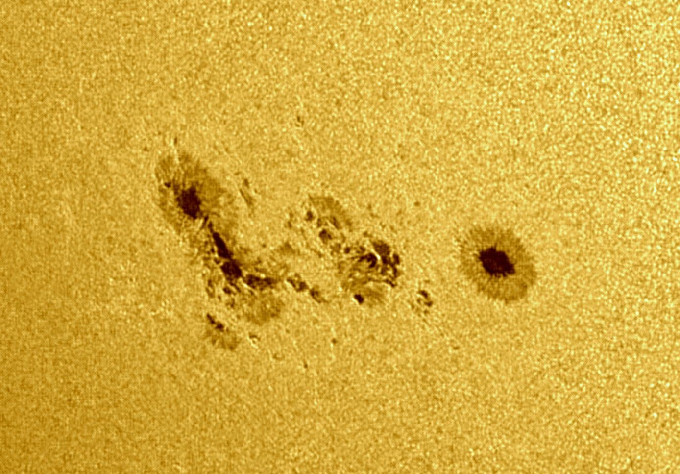 Sonnenfleck AR 2781