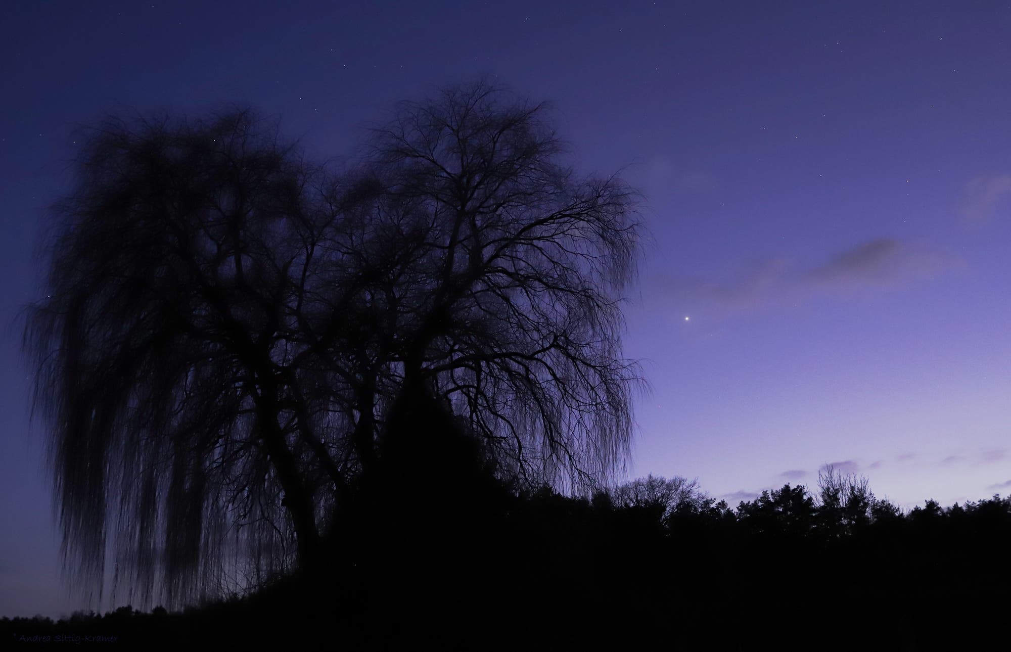 Venus am Abendhimmel über Uelzen 