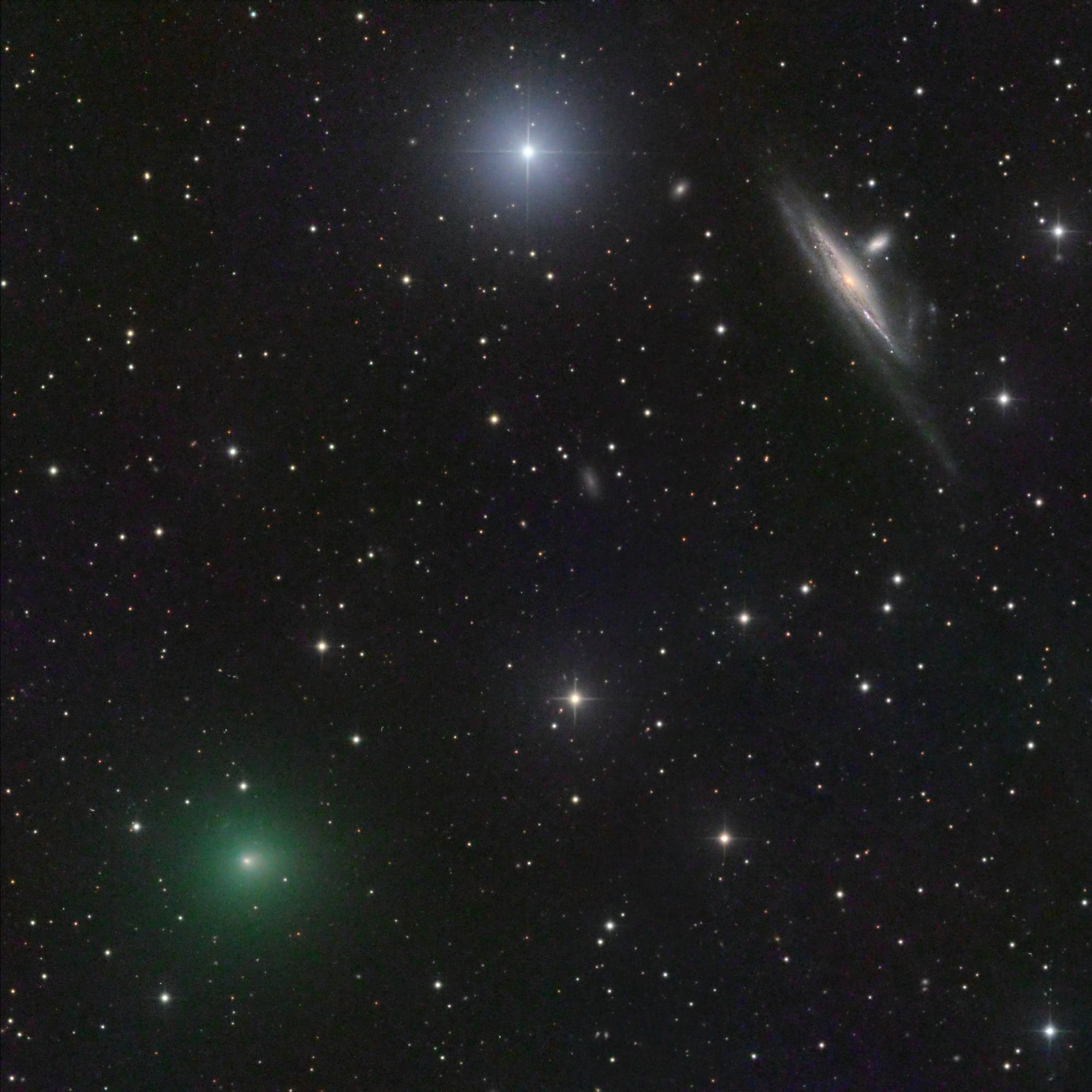 Comet ATLAS and Halley's Coronet galaxy