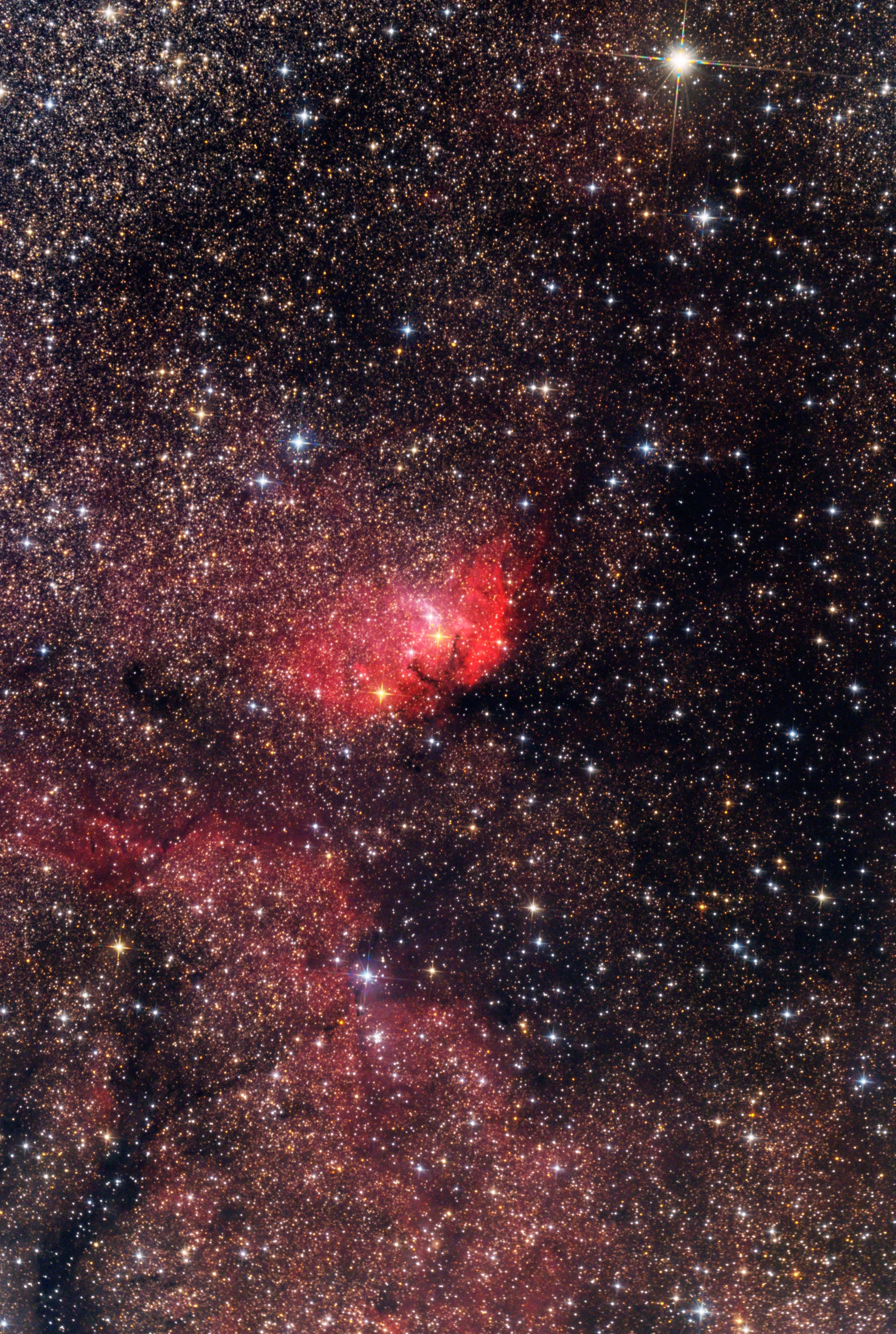 SH2-101 Tulip Nebula mit Cygnus X-1