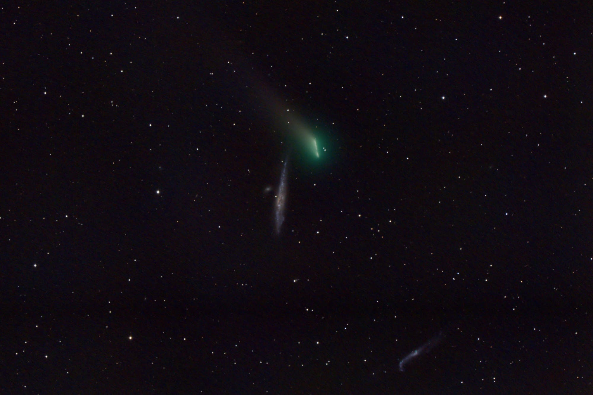 Komet C/2021 A1 Leonard neben NGC 4631