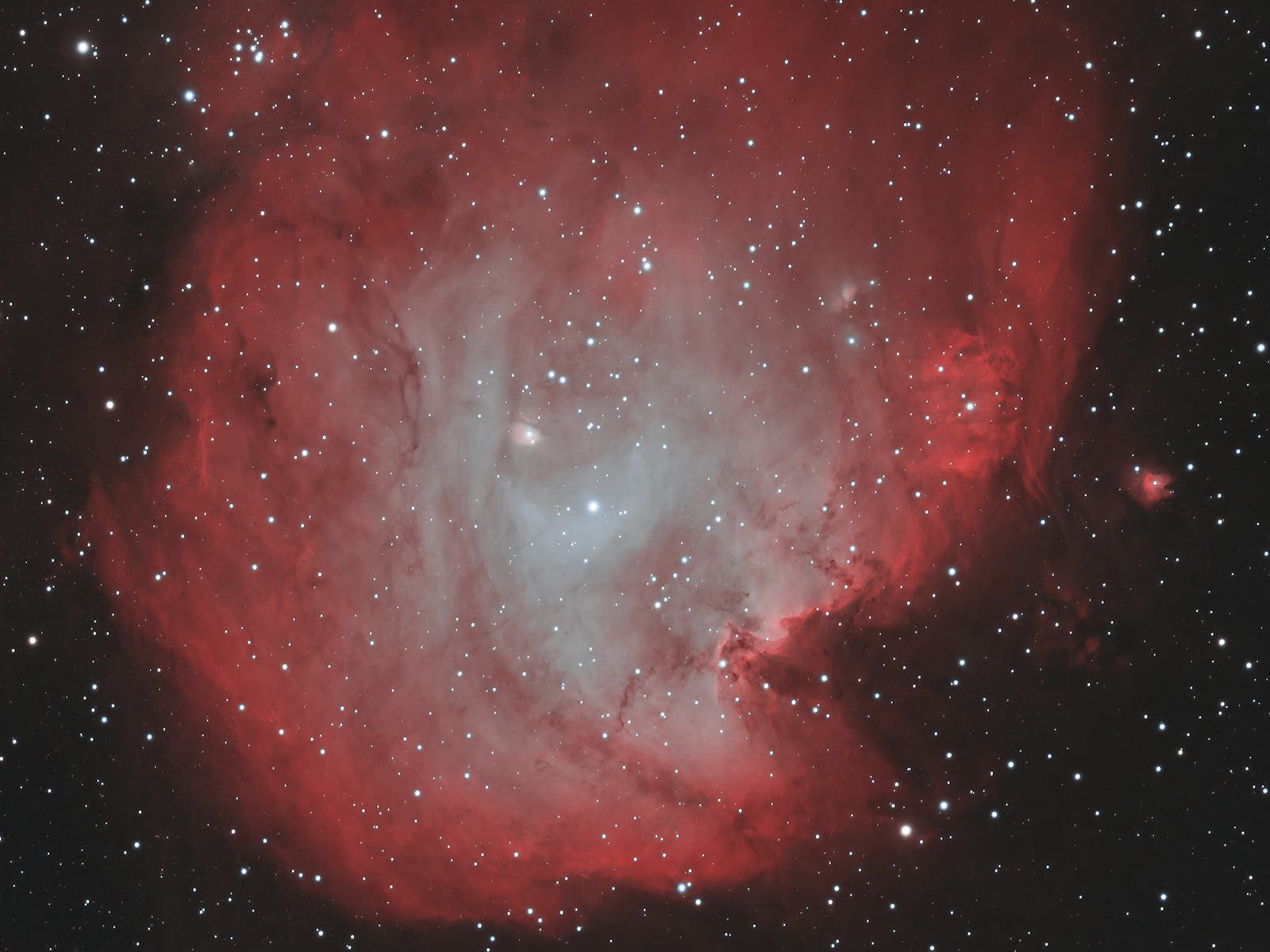 NGC 2175 im Affenkopfnebel