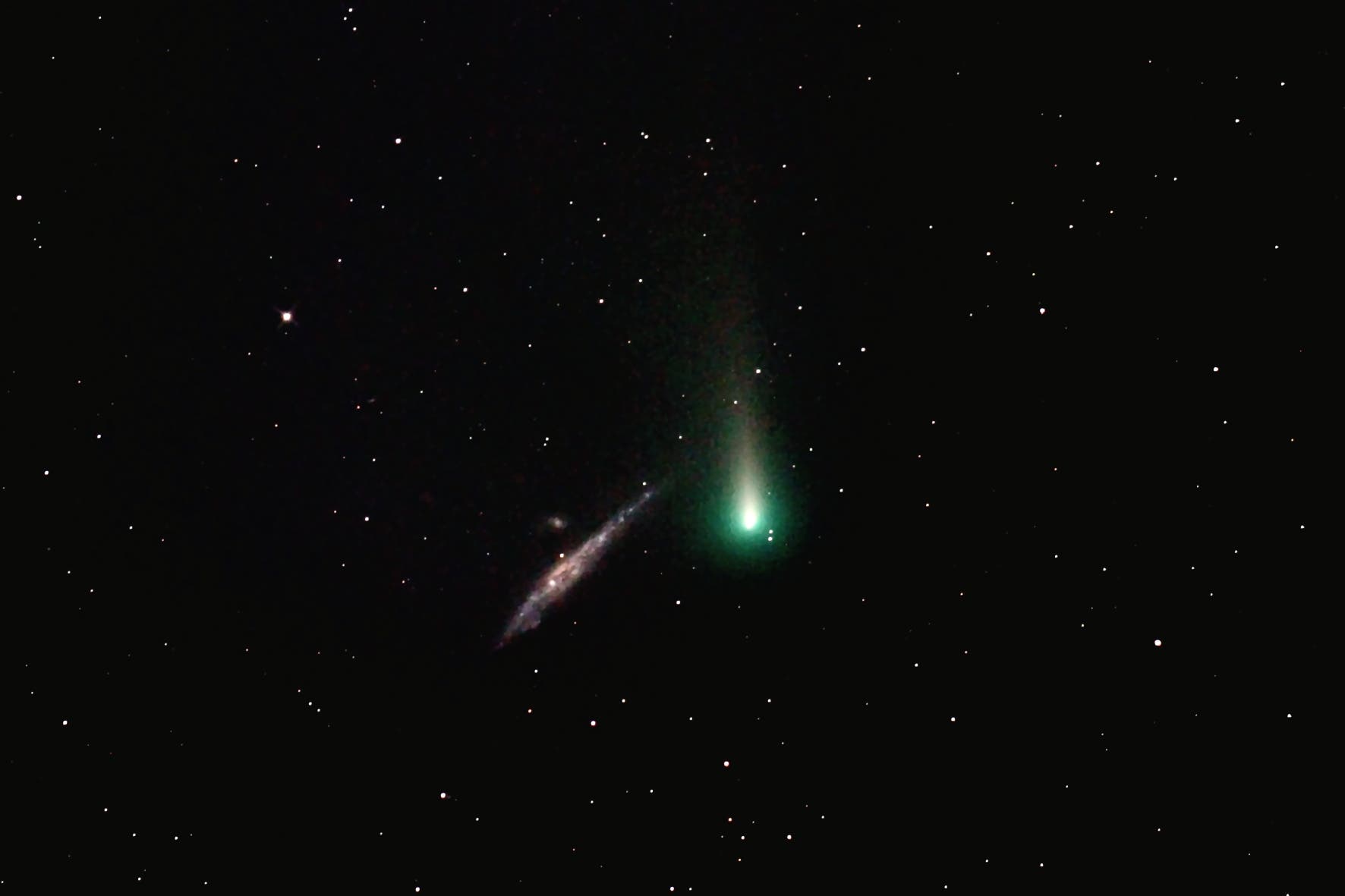 Komet C/2021 A1 Leonard bei NGC 4631
