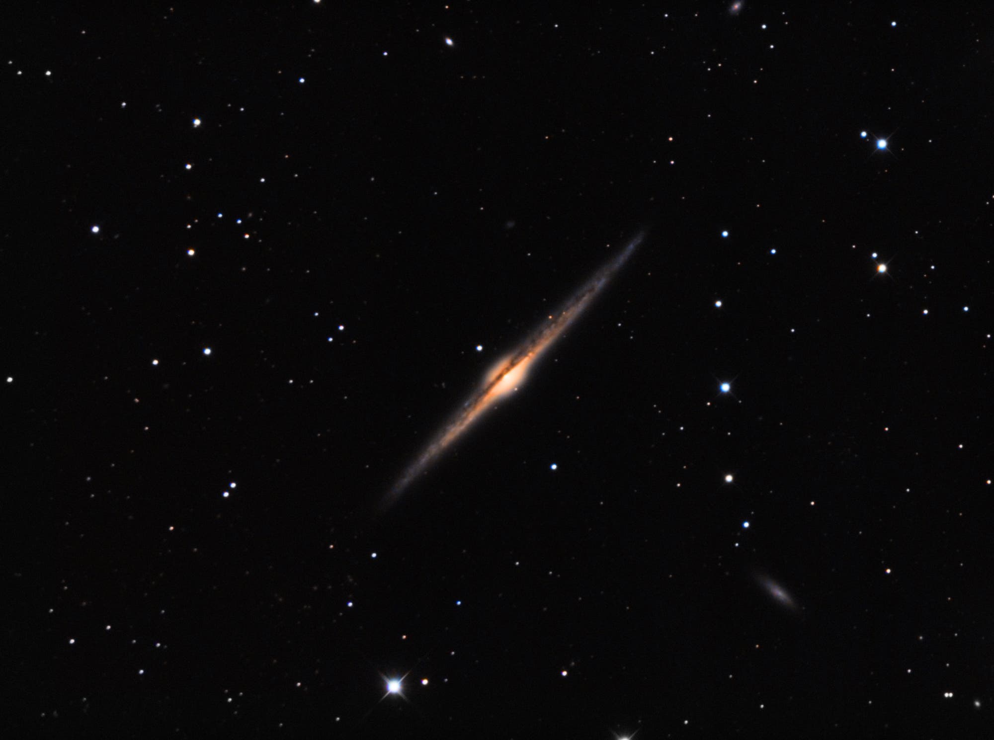 NGC 4565