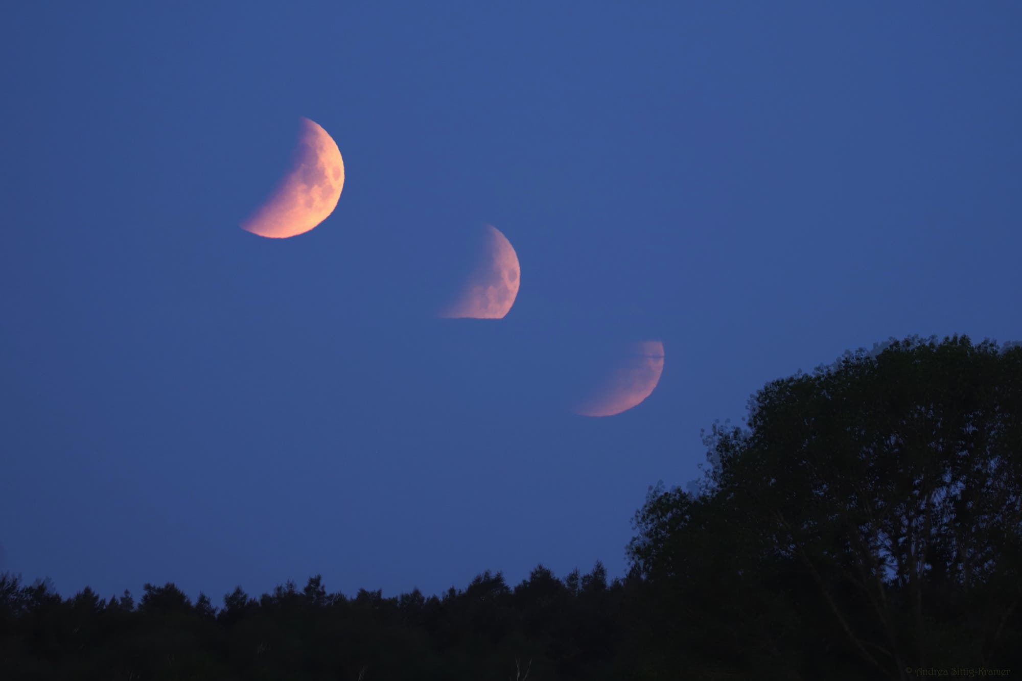 Untergang des teilverfinsterten Mondes am 16. Mai 2022 über einem Feld bei Uelzen