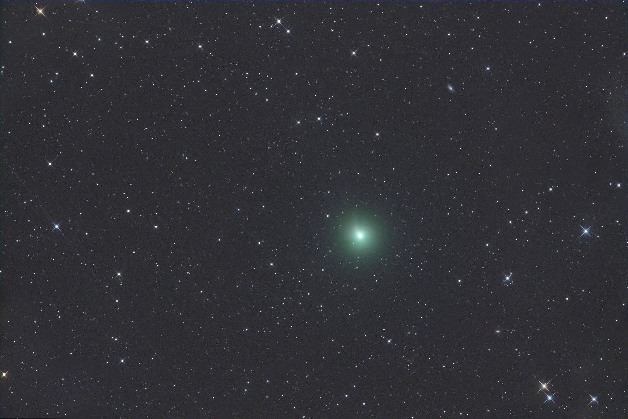 Komet C/2022 P1 NEOWISE