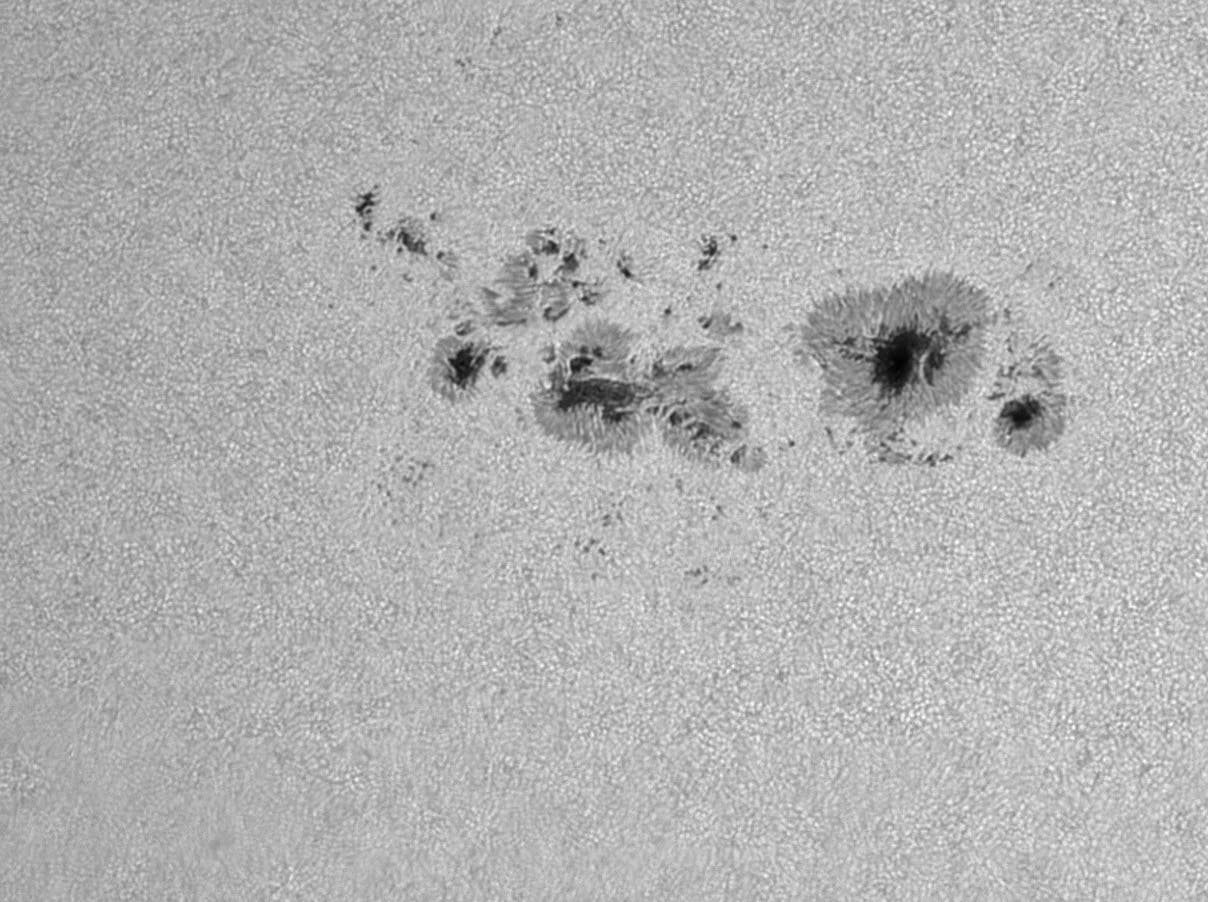 Sonnenfleckengruppe AR 13354 am 30. Juni 2023  