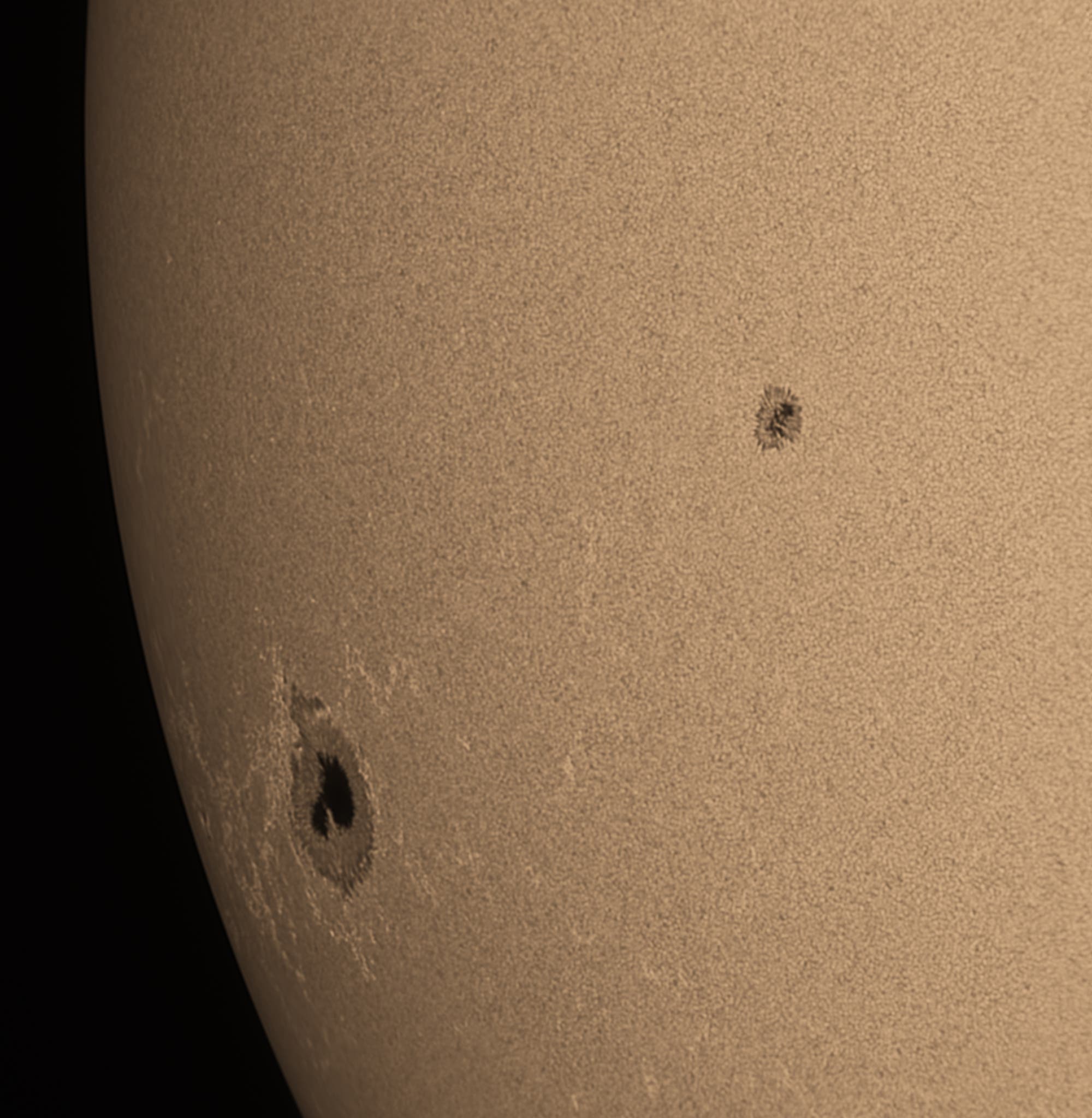 Sonnenfleck am Westrand (AR 13363) am Ostrand der Sonne