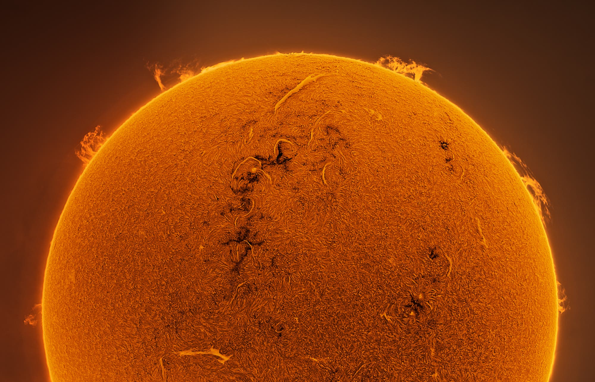 Sonne in H-Alpha am 18. August 2023 (Westseite)